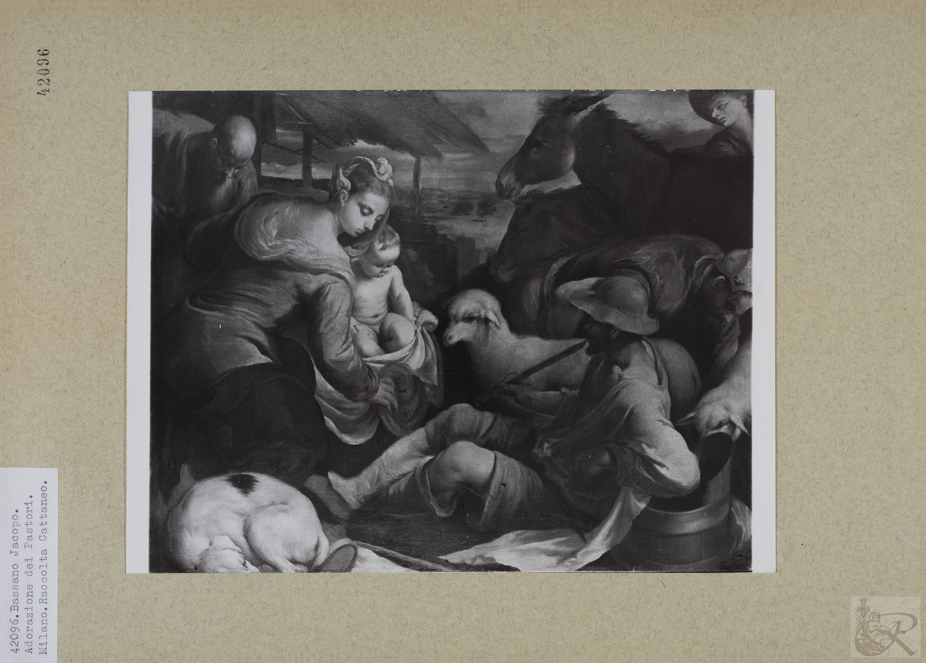 Immagine di anteprima