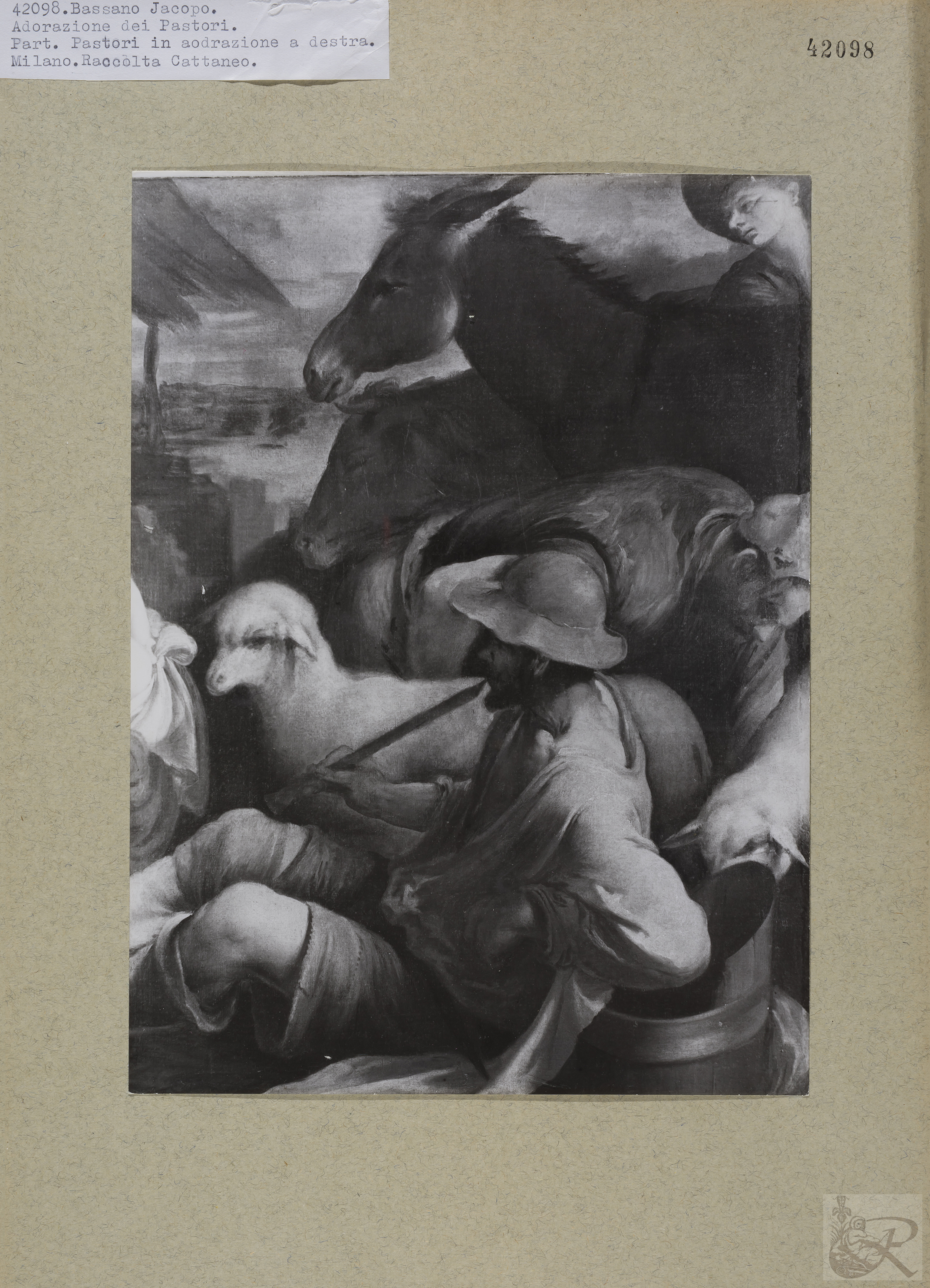 Immagine di anteprima