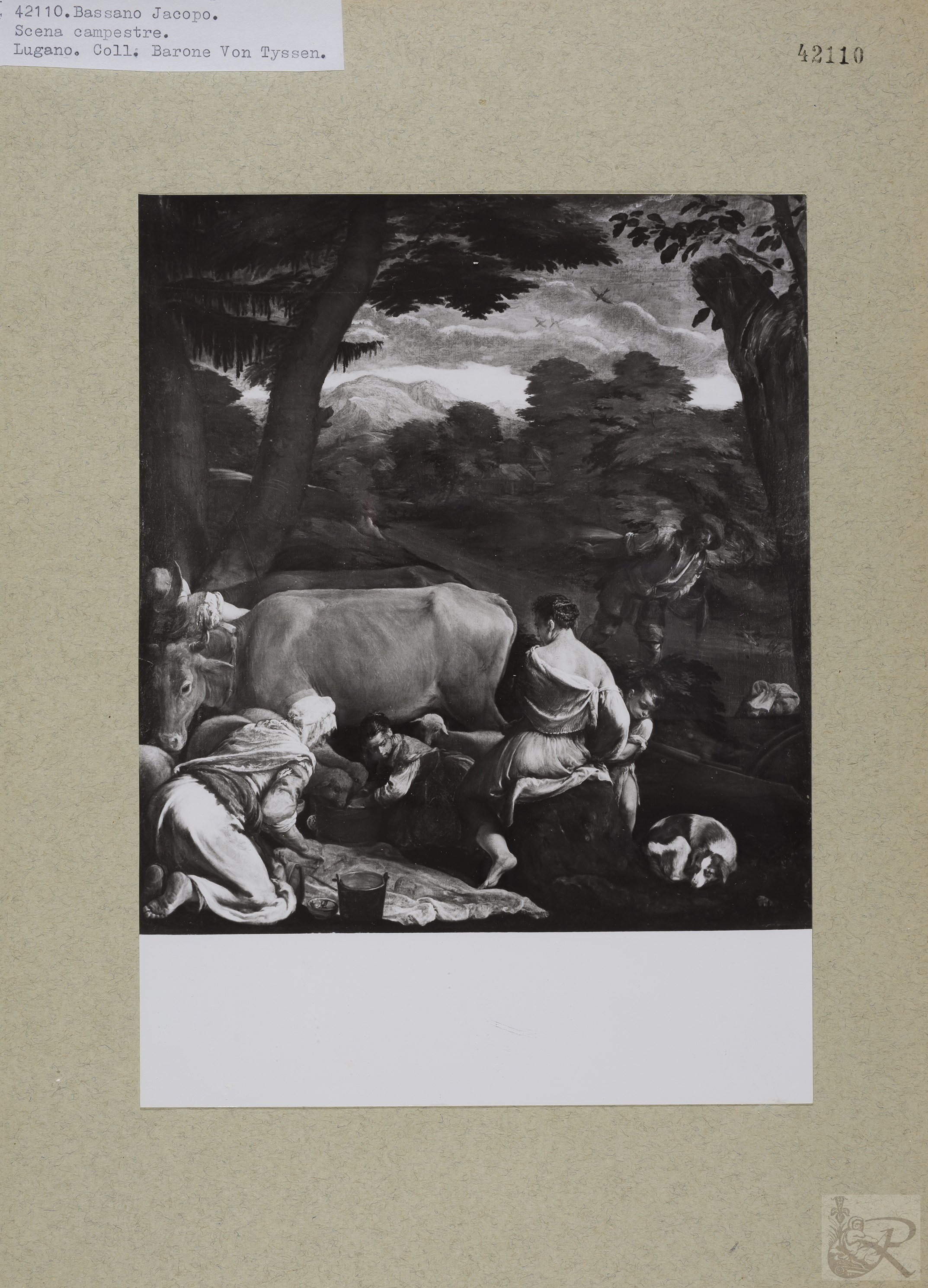 Immagine di anteprima