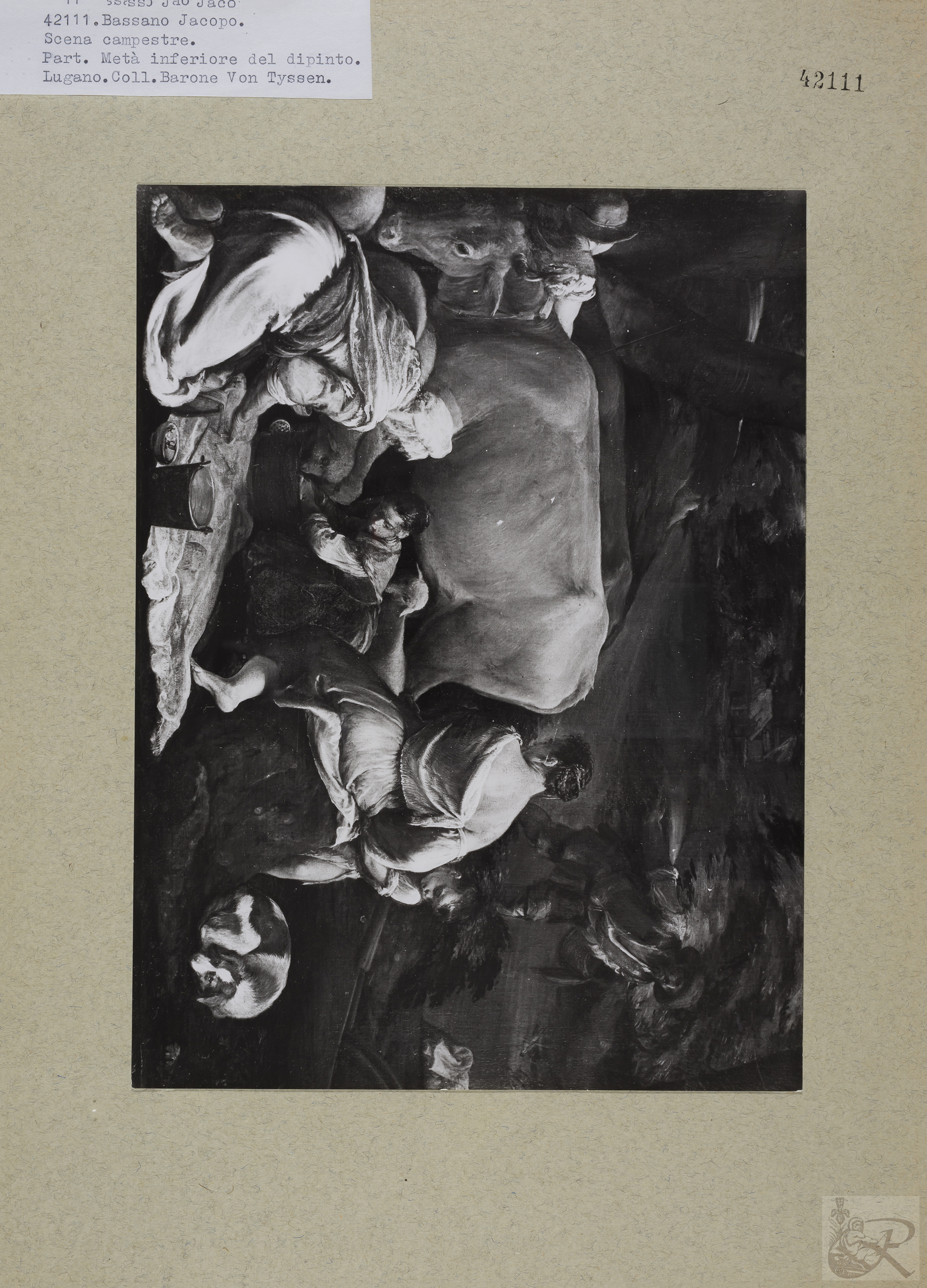 Immagine di anteprima