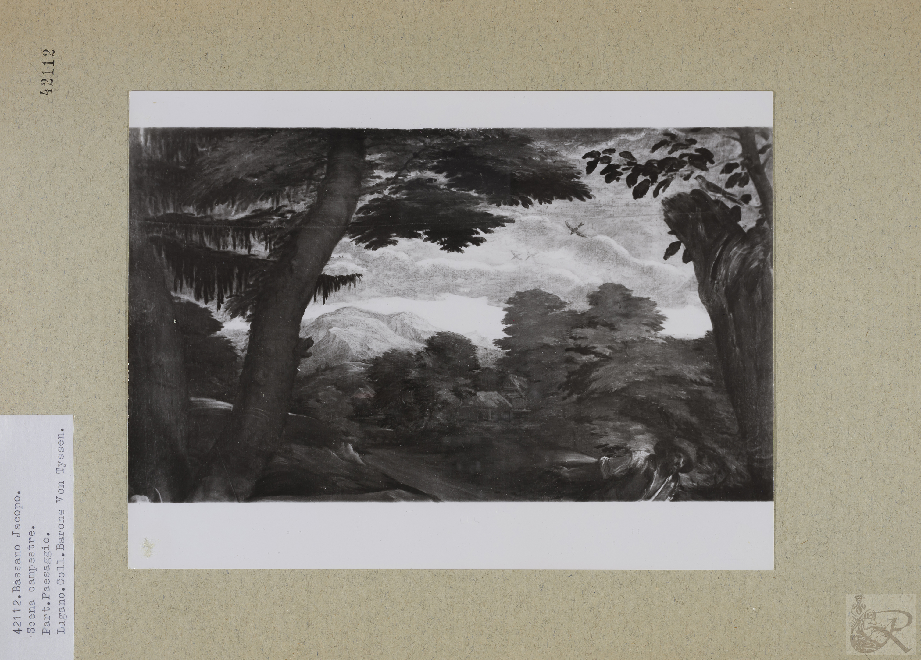 Immagine di anteprima