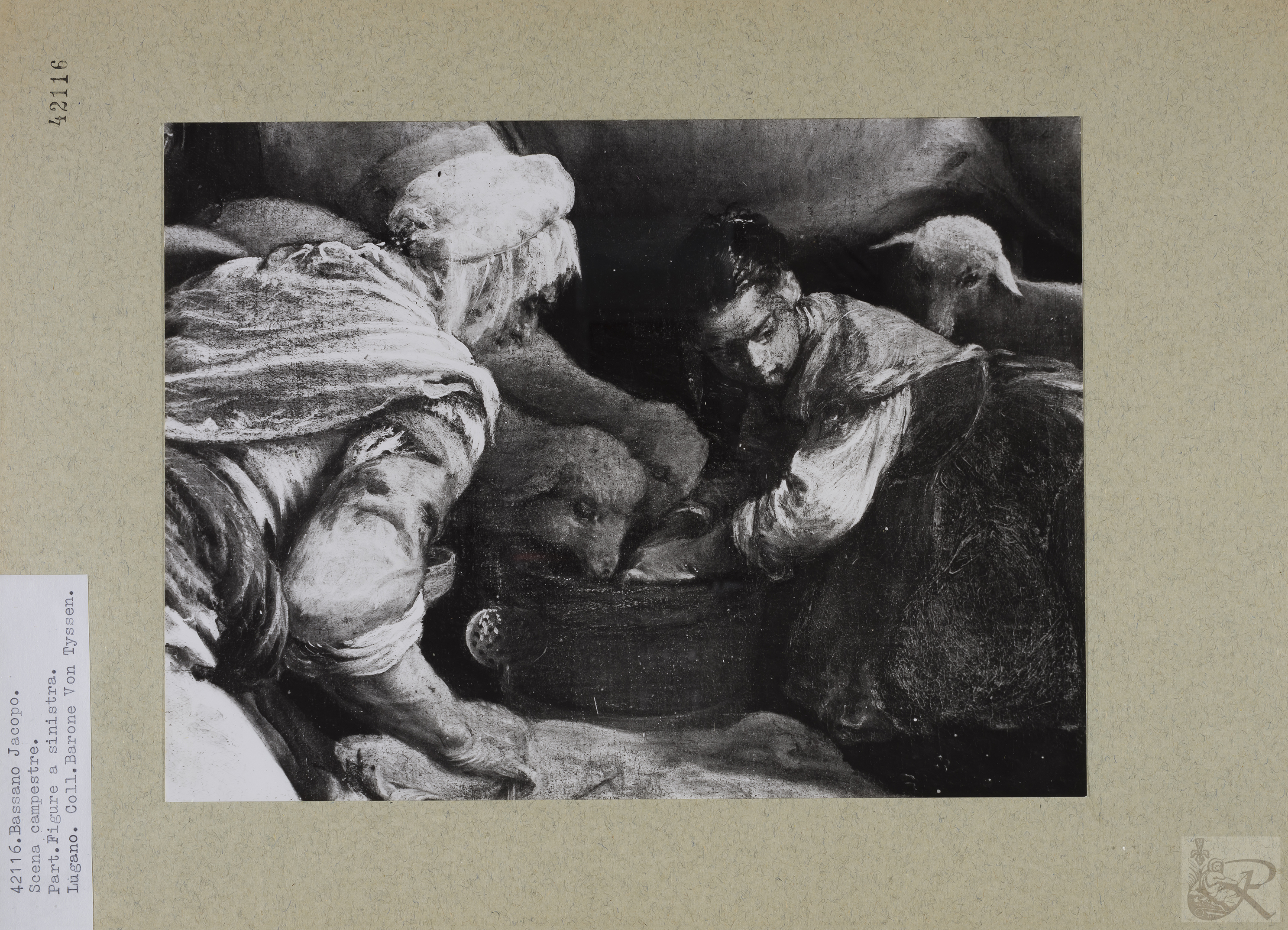 Immagine di anteprima