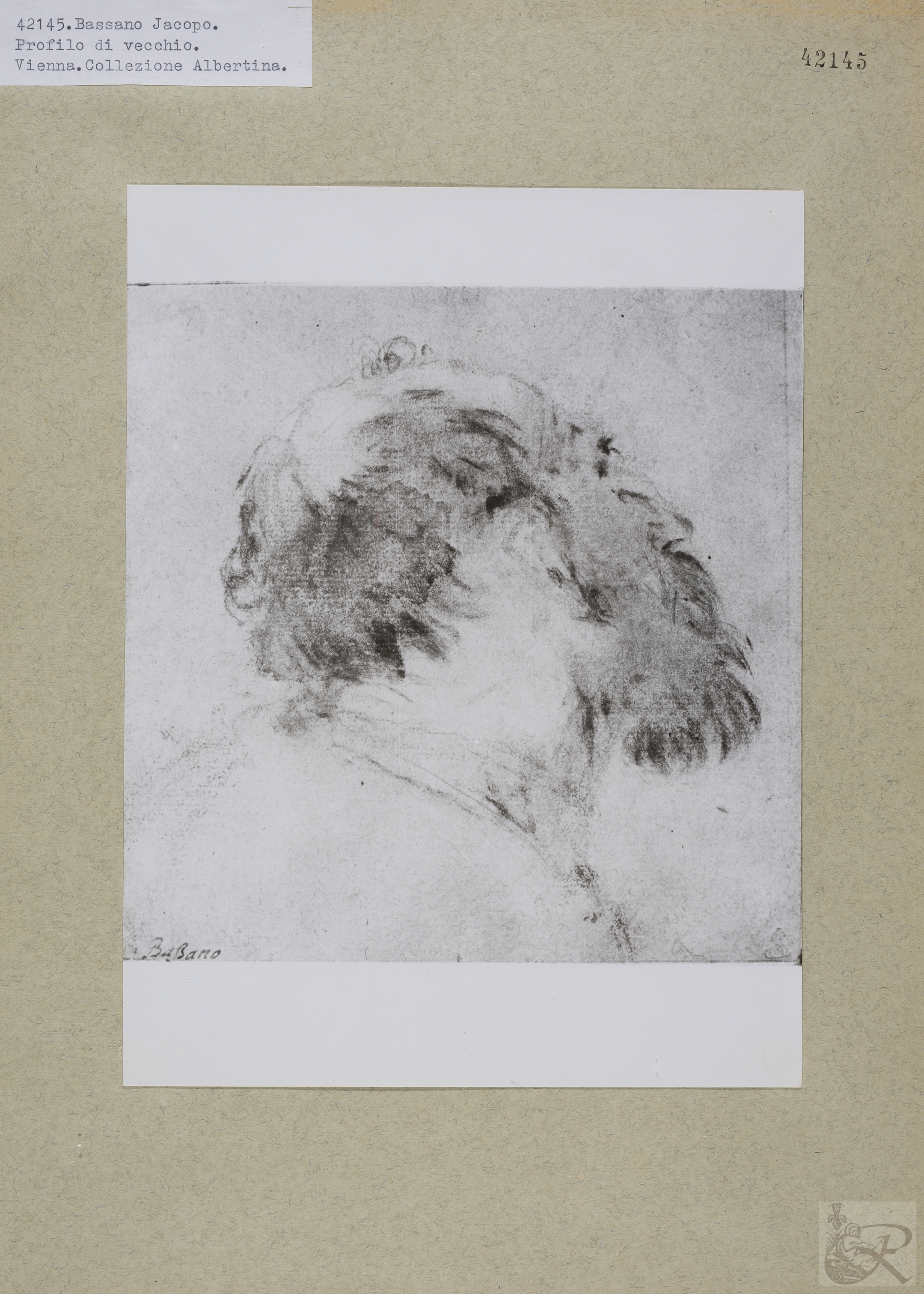 Immagine di anteprima