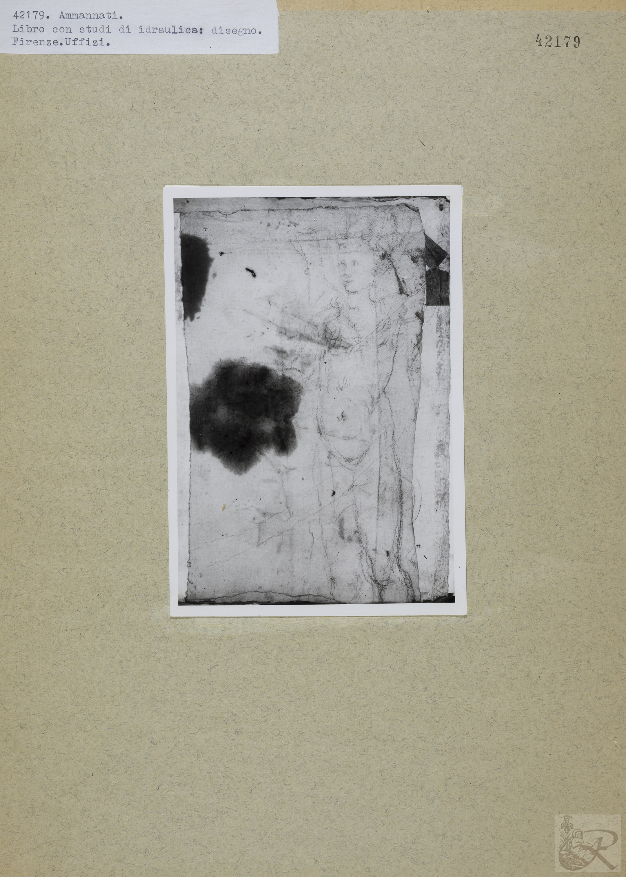 Immagine di anteprima