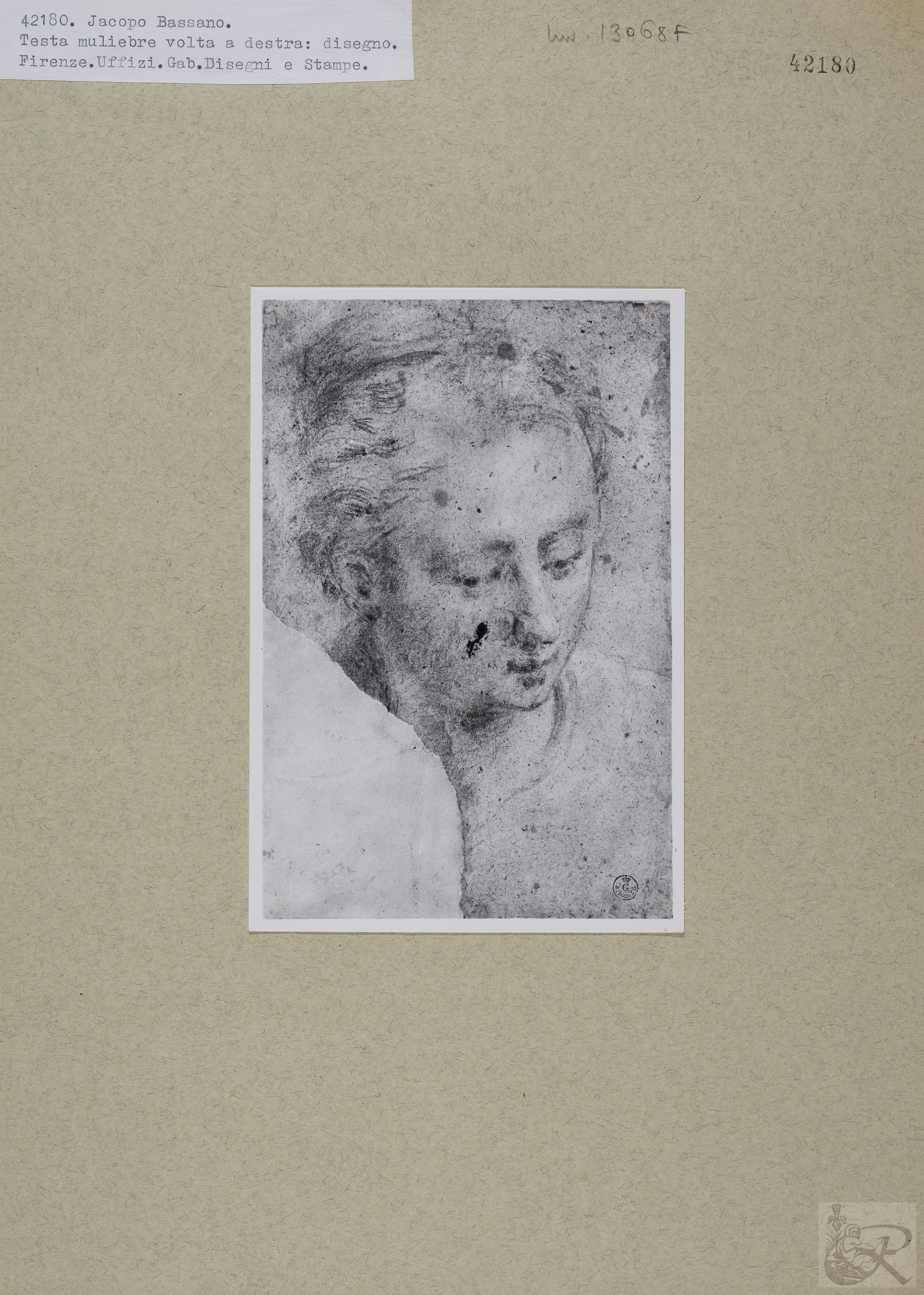 Immagine di anteprima