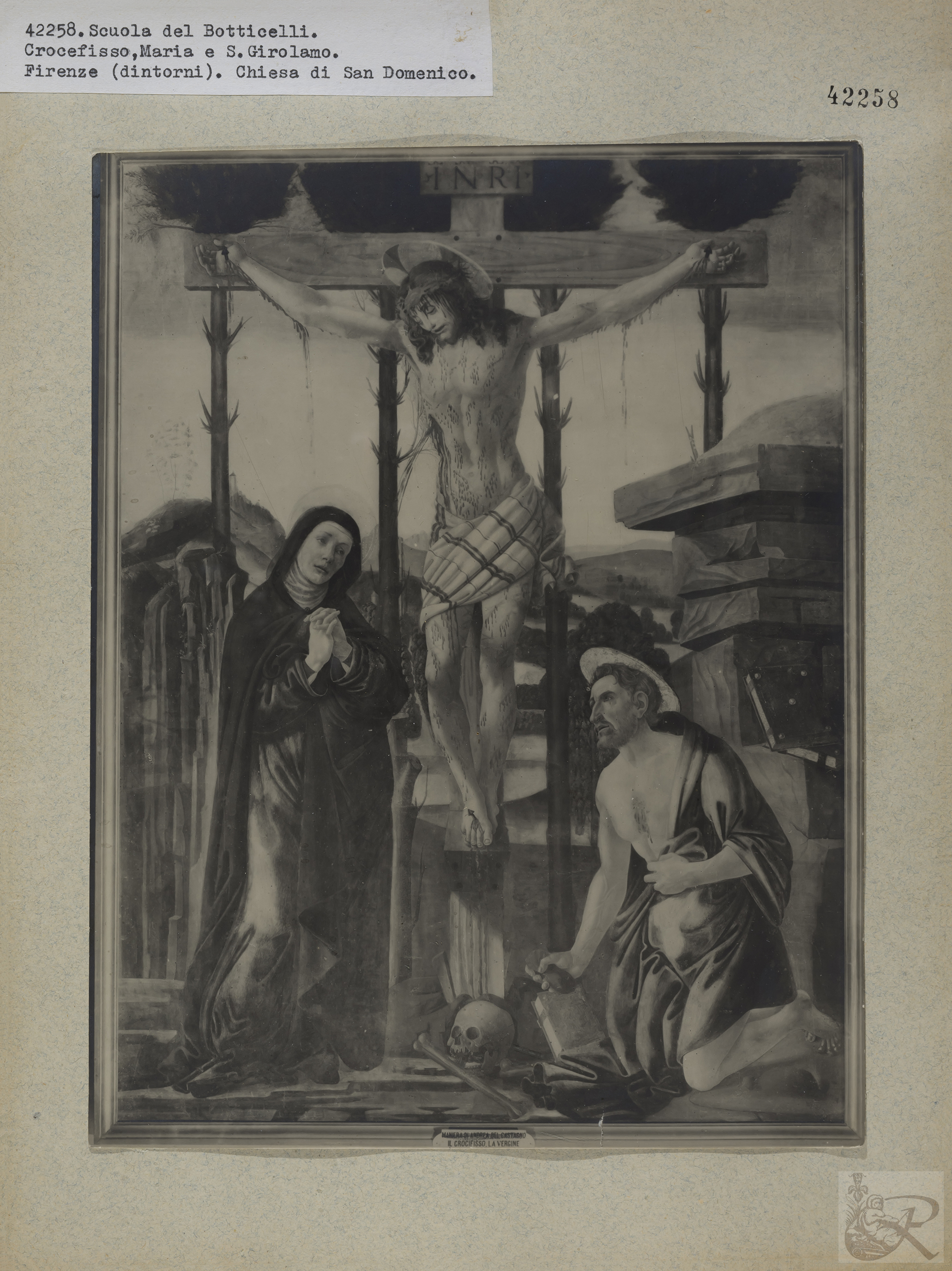 Immagine di anteprima