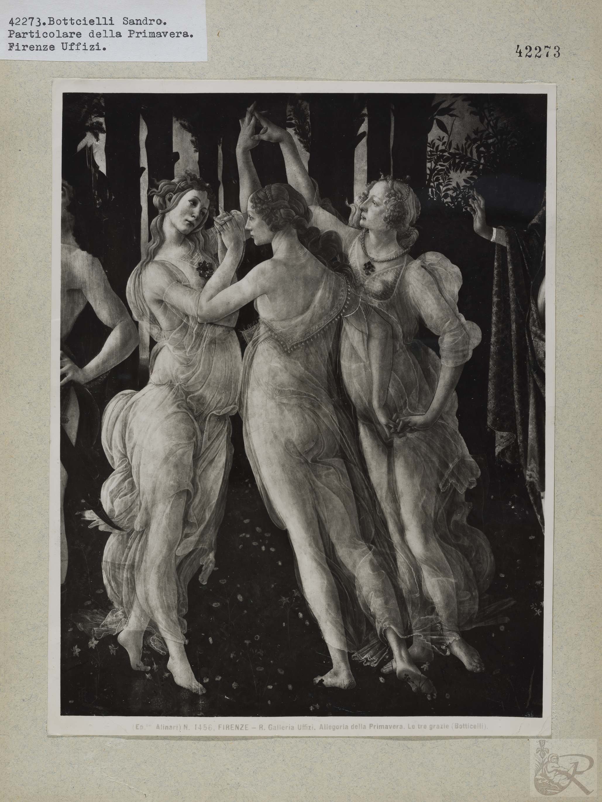 Immagine di anteprima