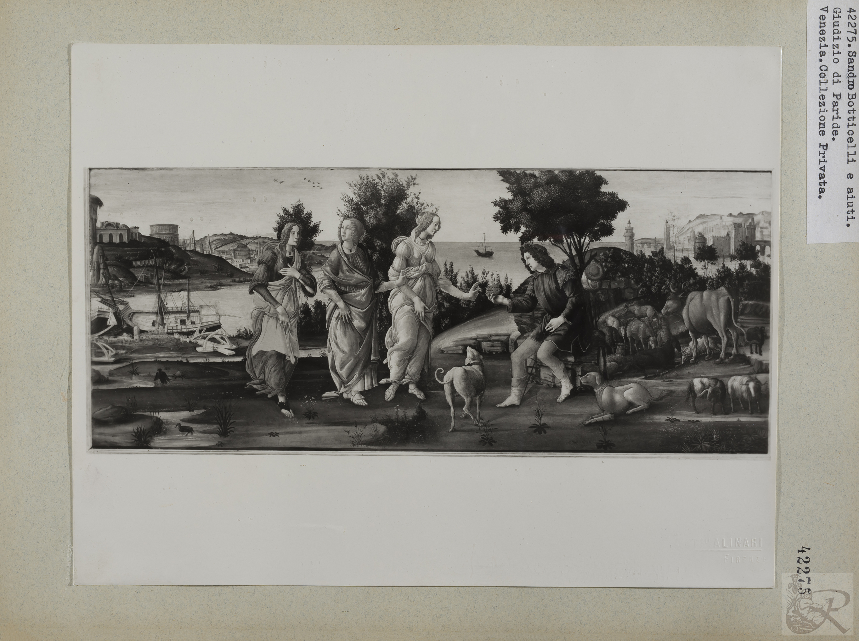 Immagine di anteprima