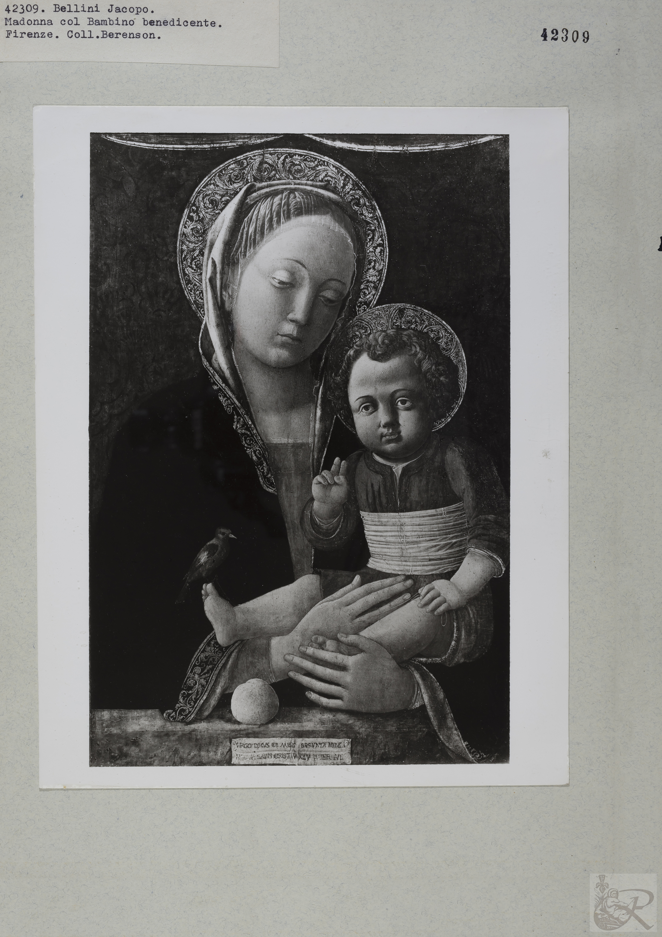 Immagine di anteprima