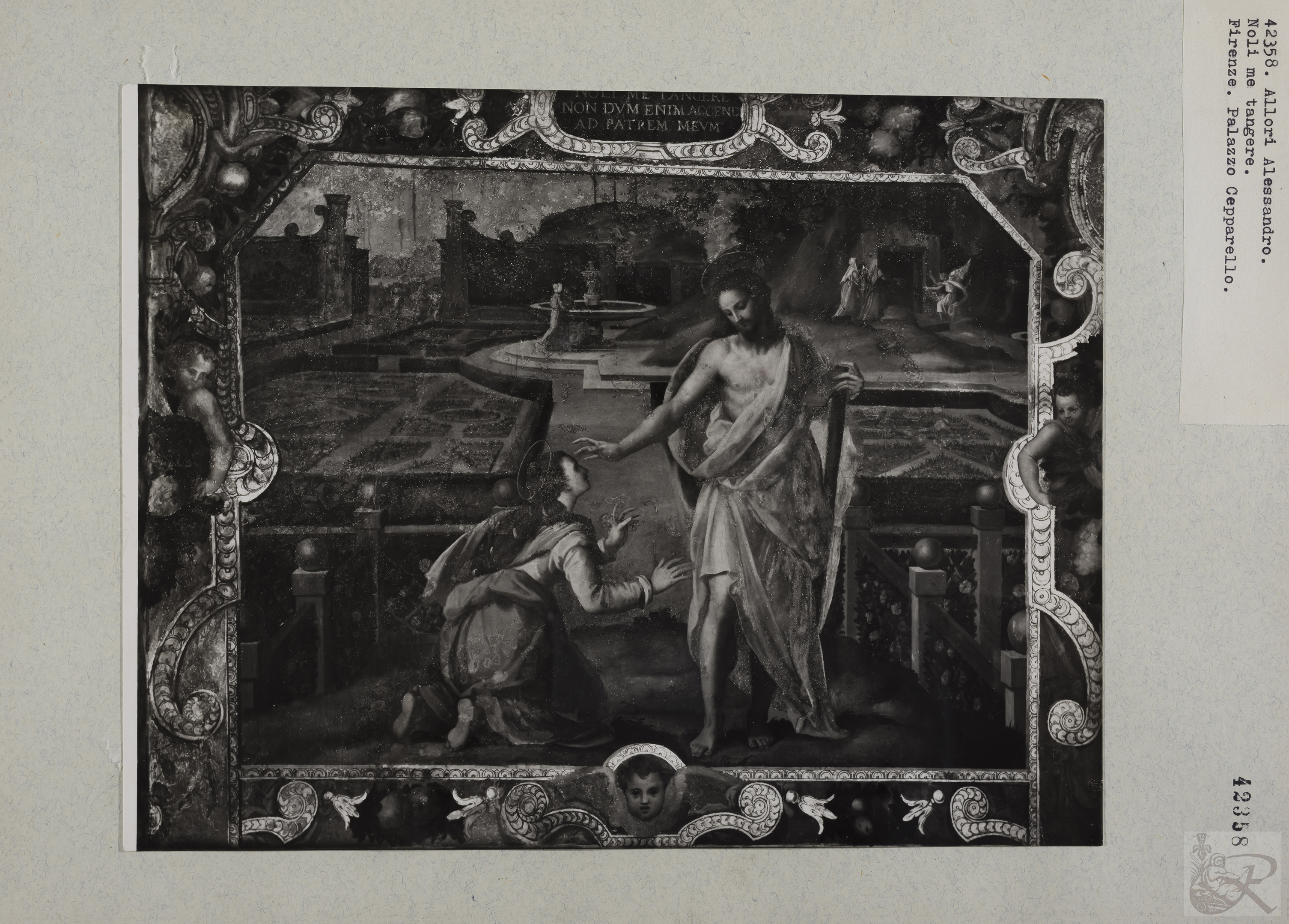 Immagine di anteprima