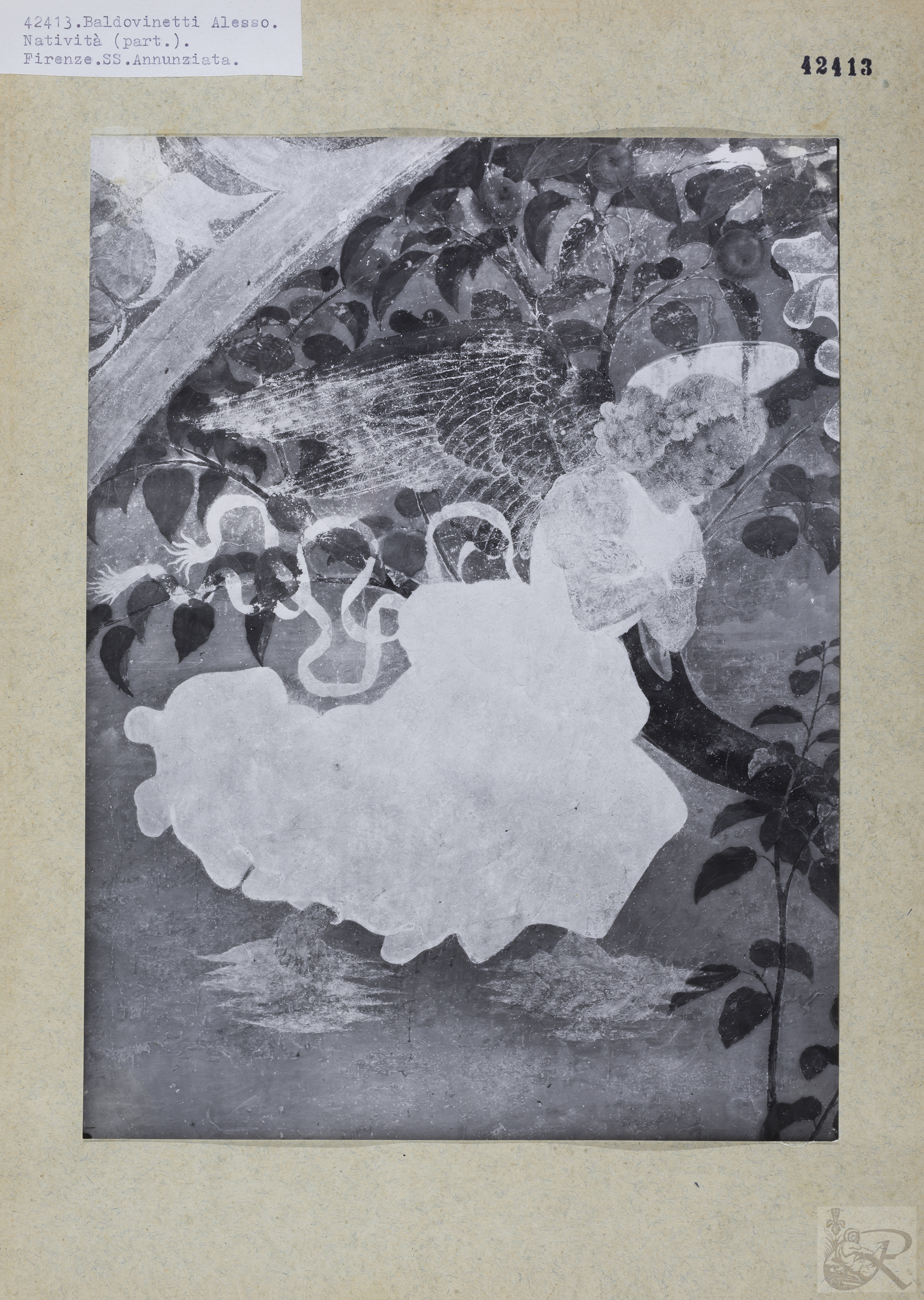 Immagine di anteprima