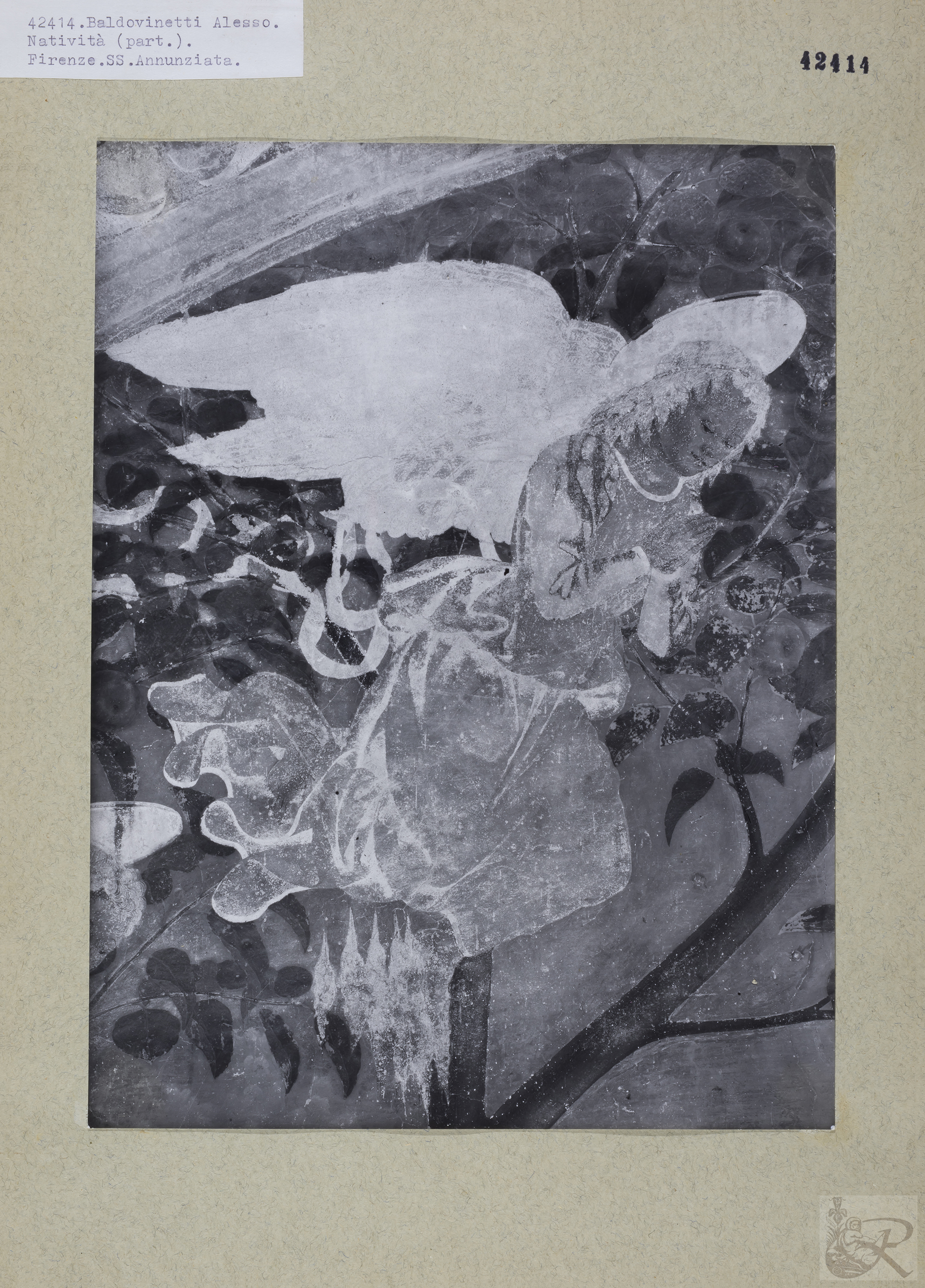 Immagine di anteprima