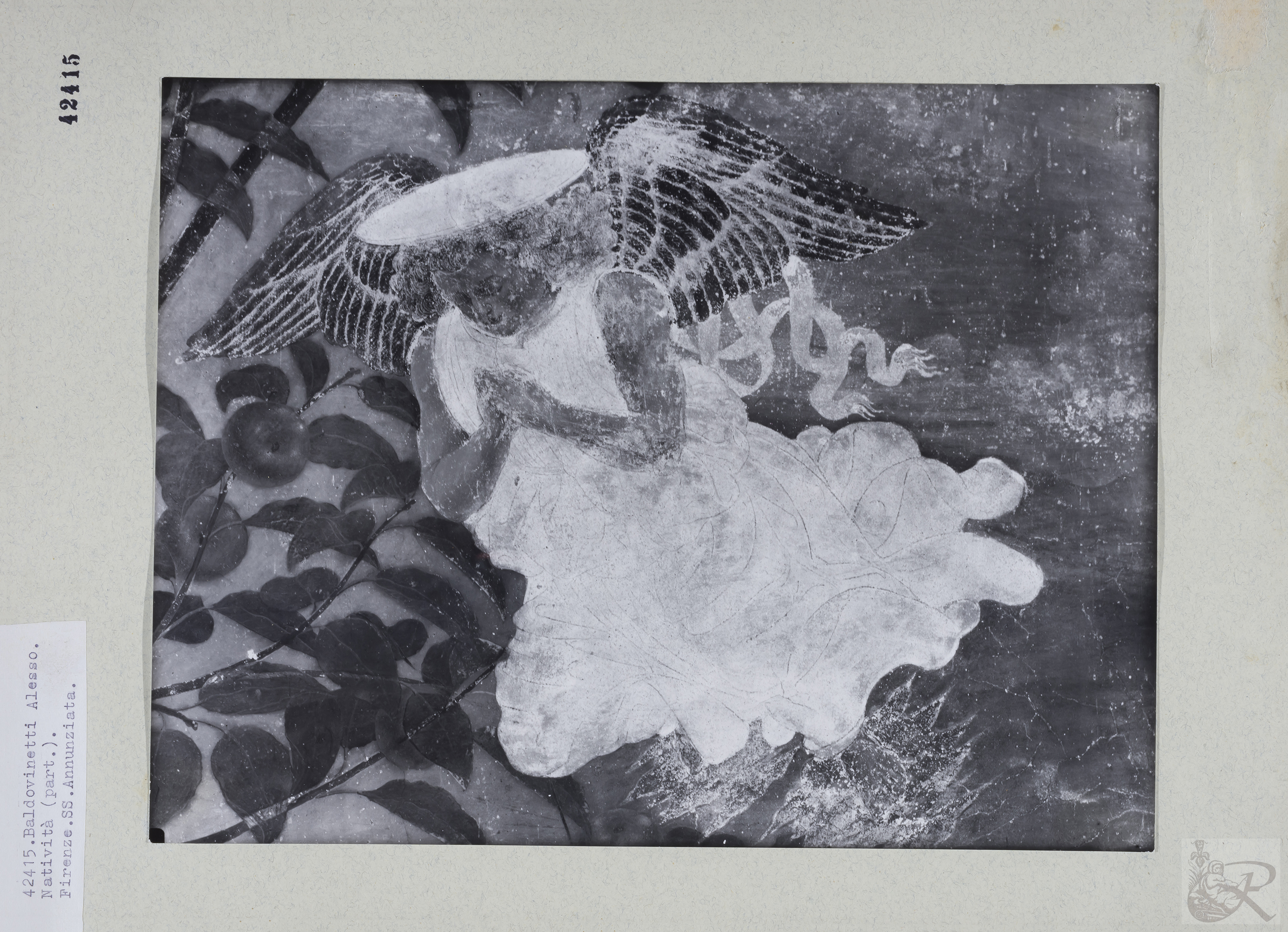 Immagine di anteprima