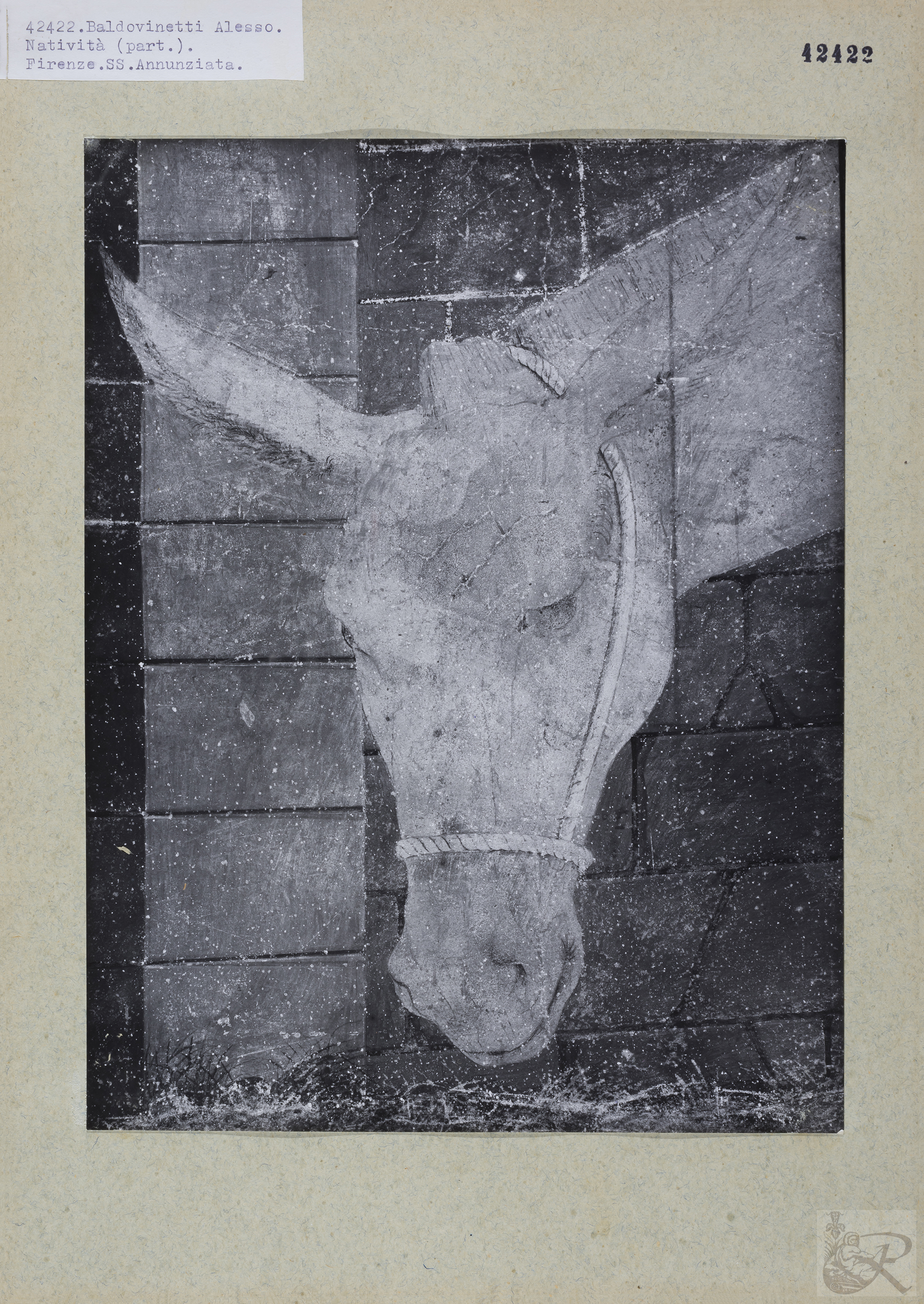 Immagine di anteprima