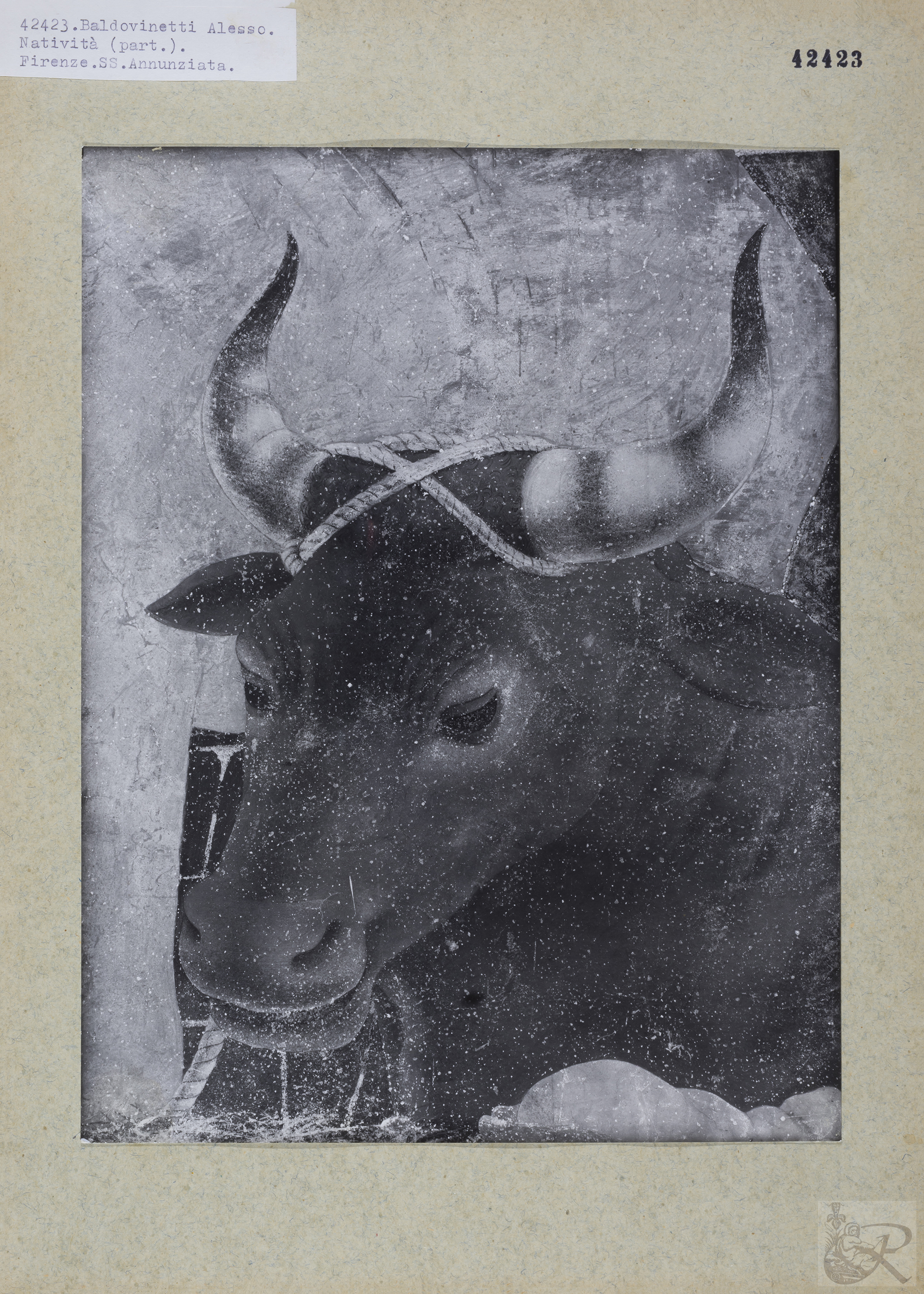 Immagine di anteprima