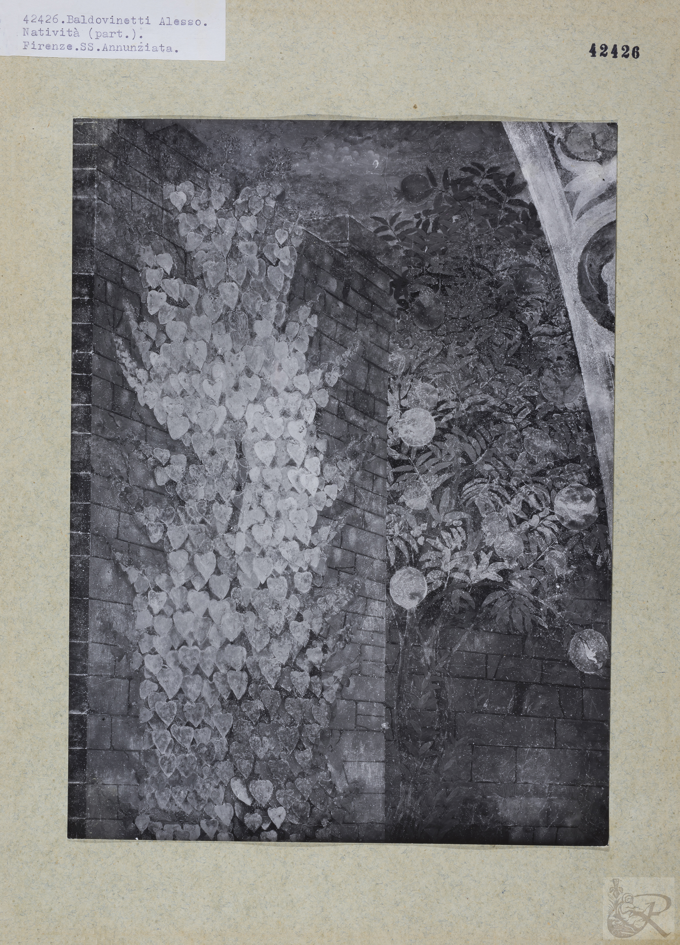 Immagine di anteprima