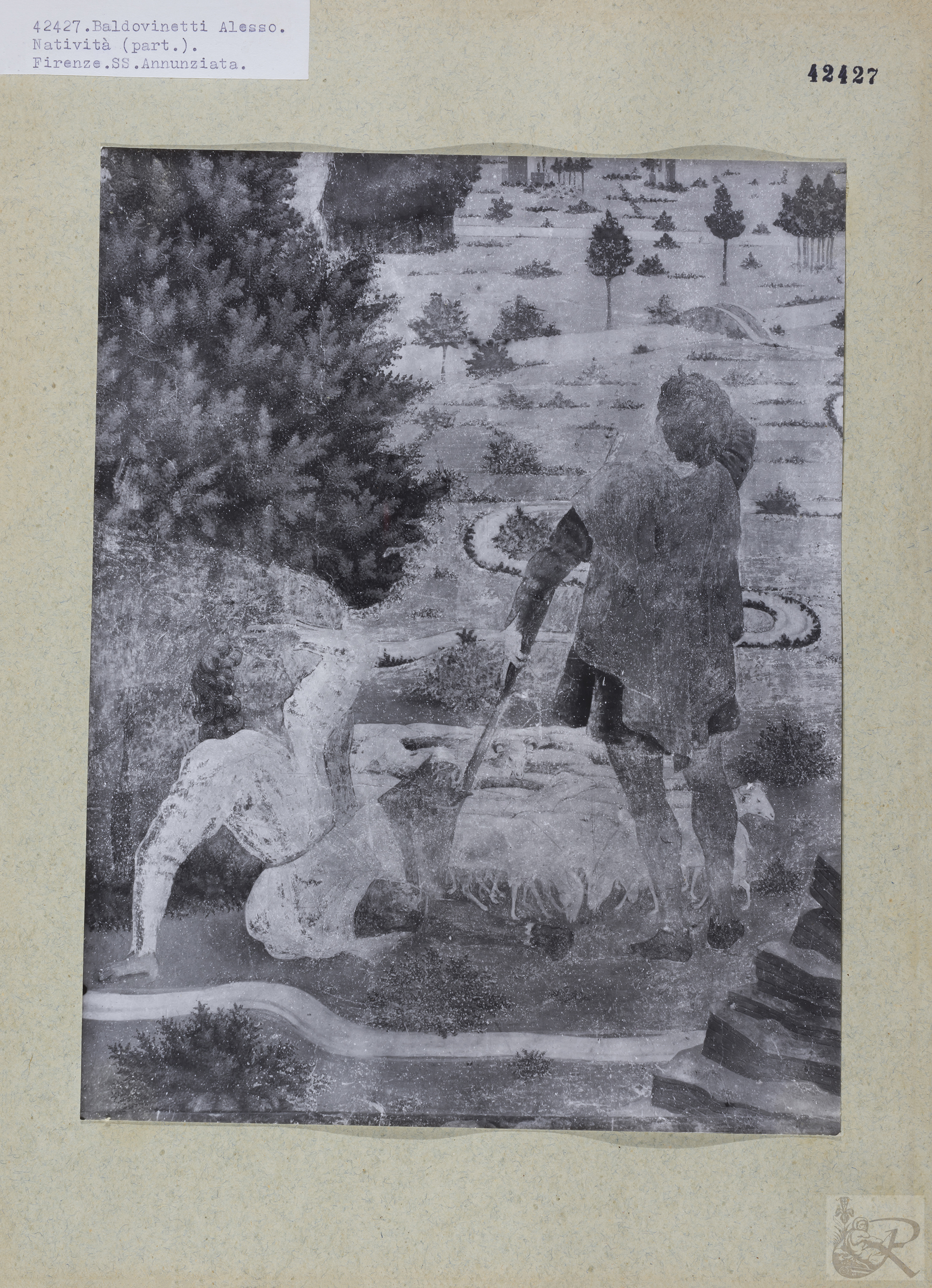 Immagine di anteprima