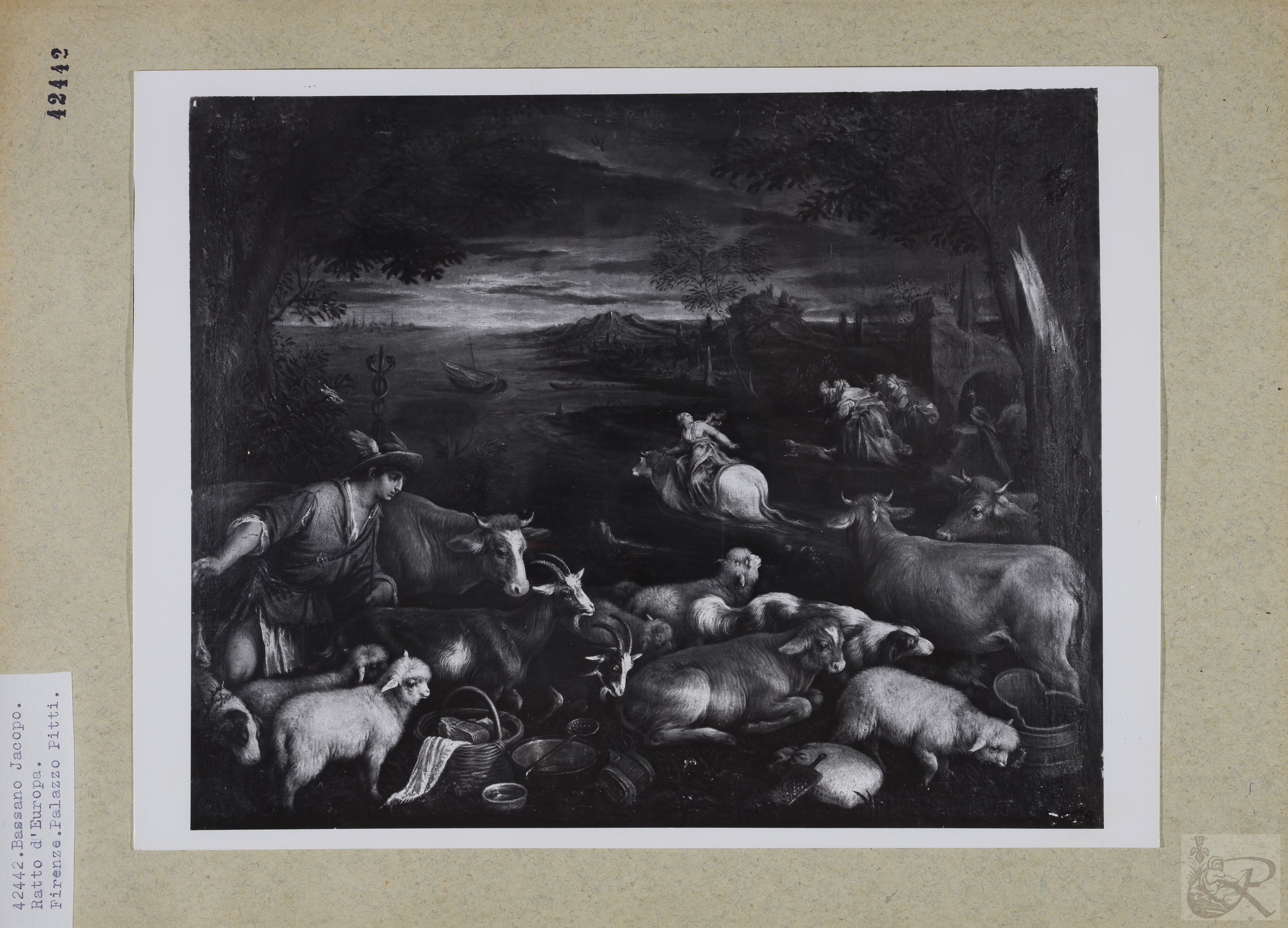 Immagine di anteprima