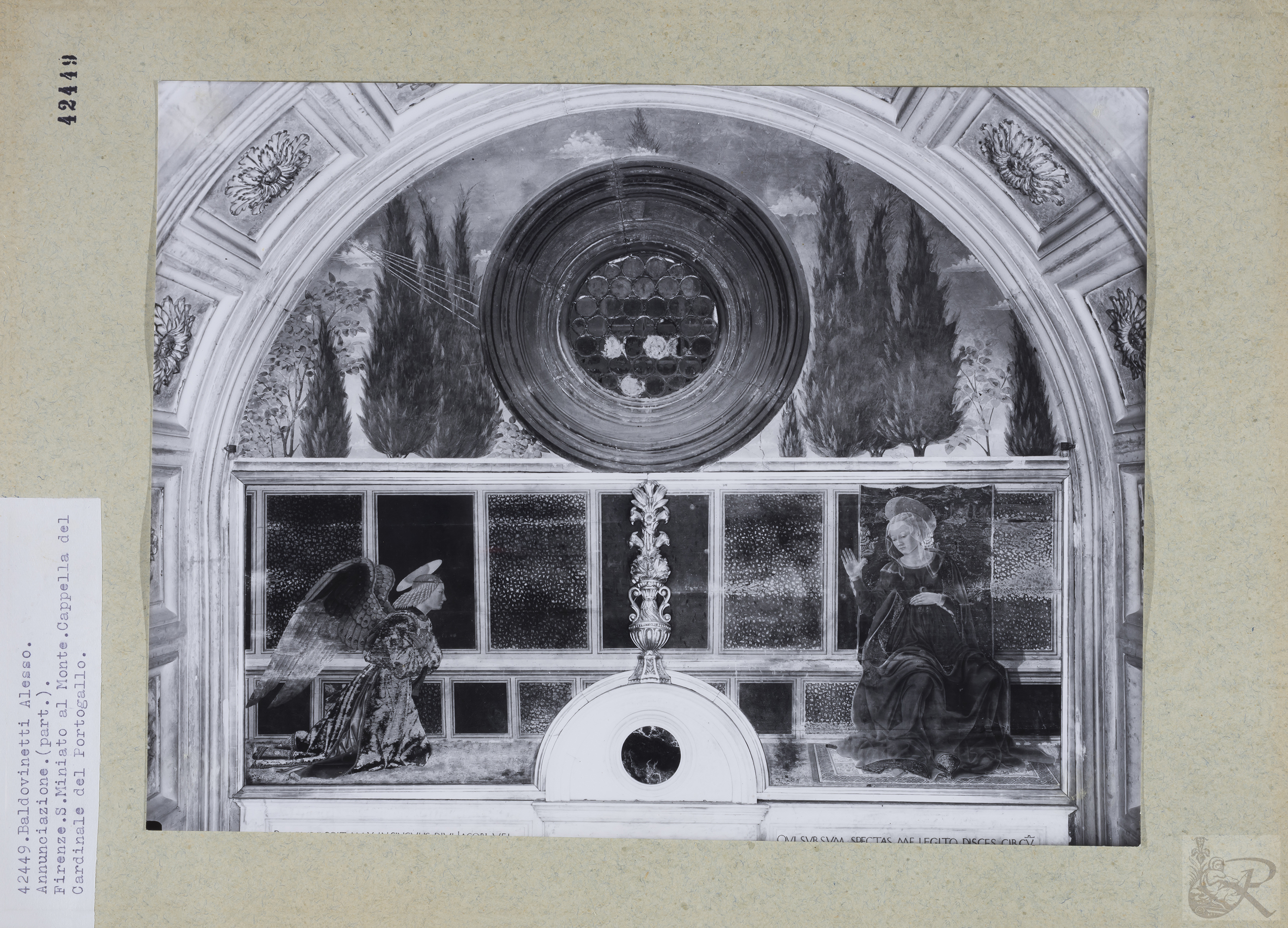 Immagine di anteprima