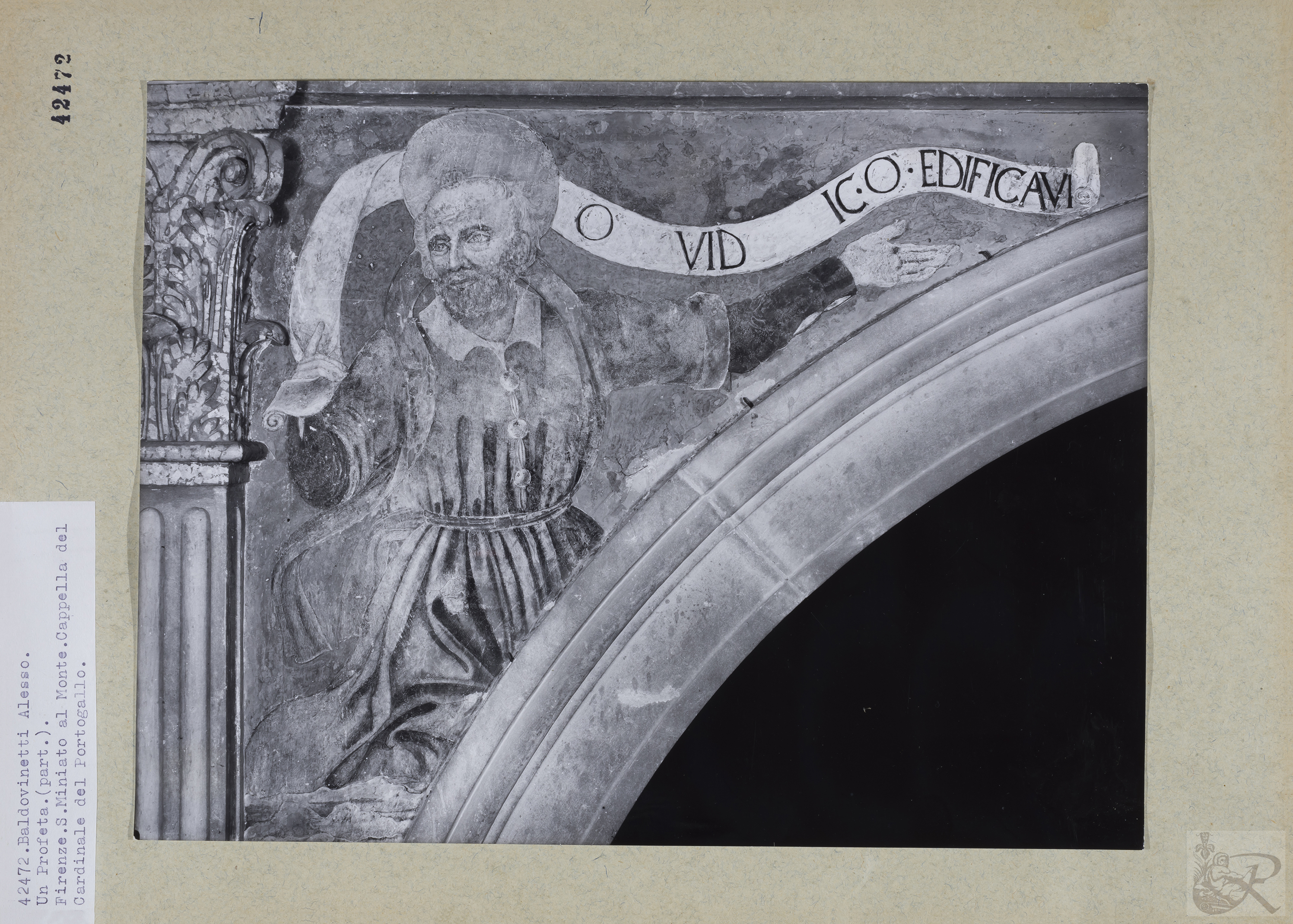 Immagine di anteprima