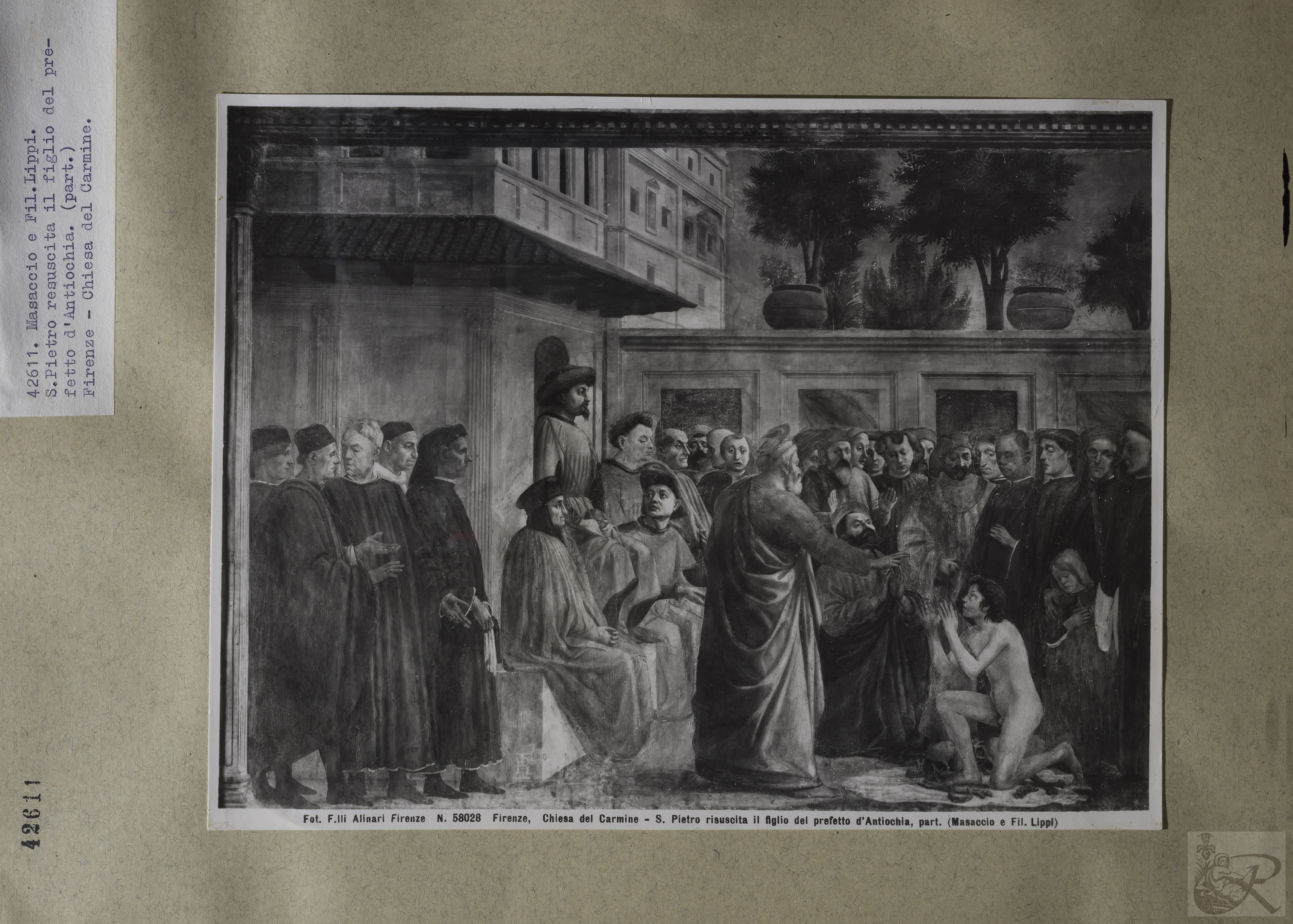 Immagine di anteprima