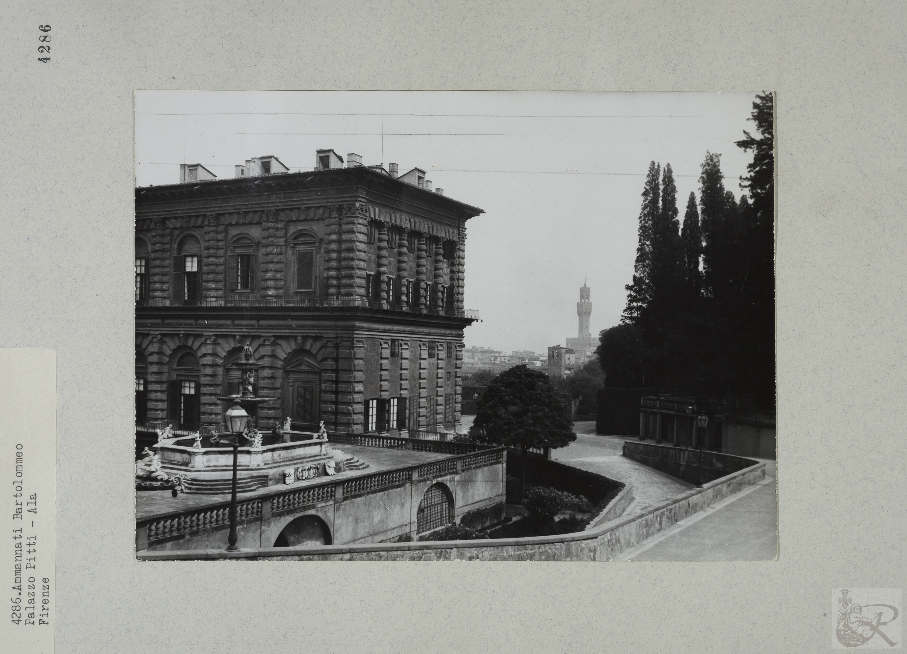 Immagine di anteprima