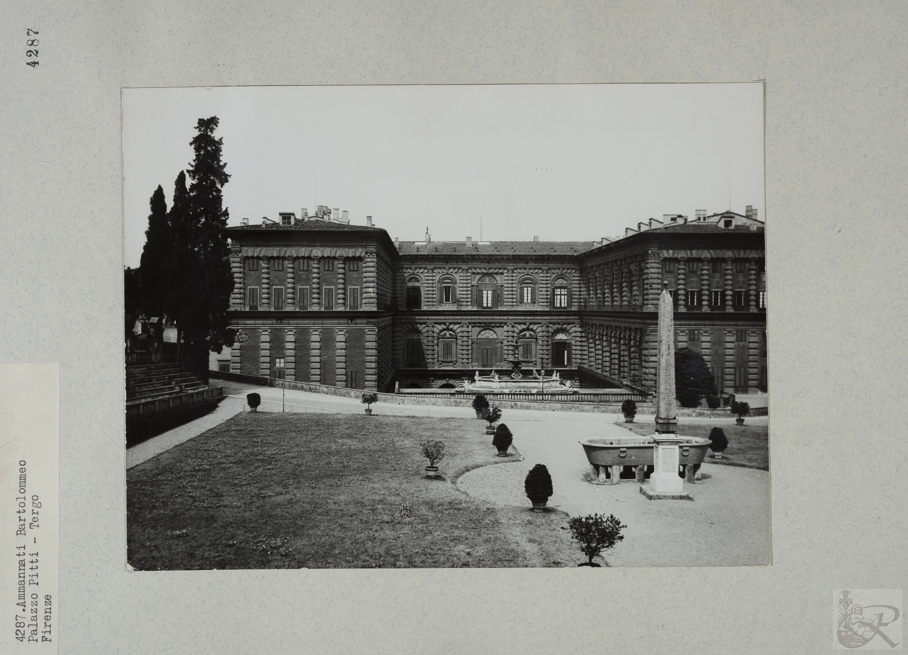 Immagine di anteprima