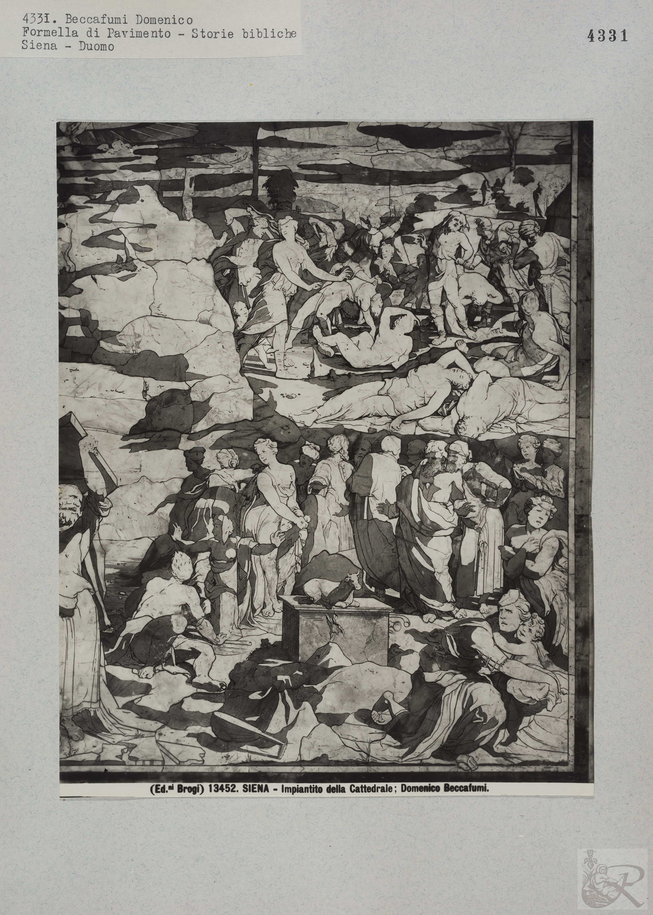 Immagine di anteprima