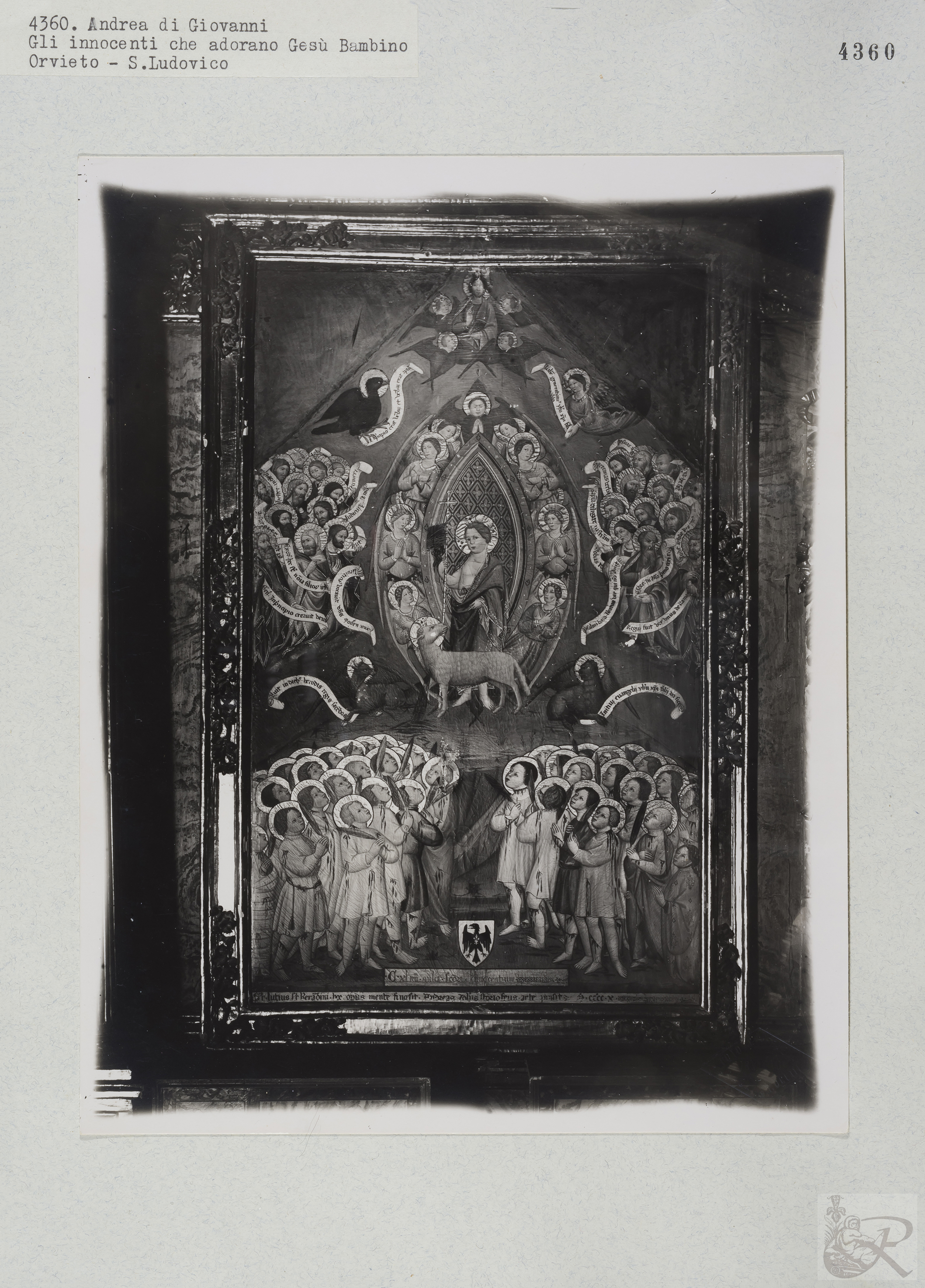 Immagine di anteprima