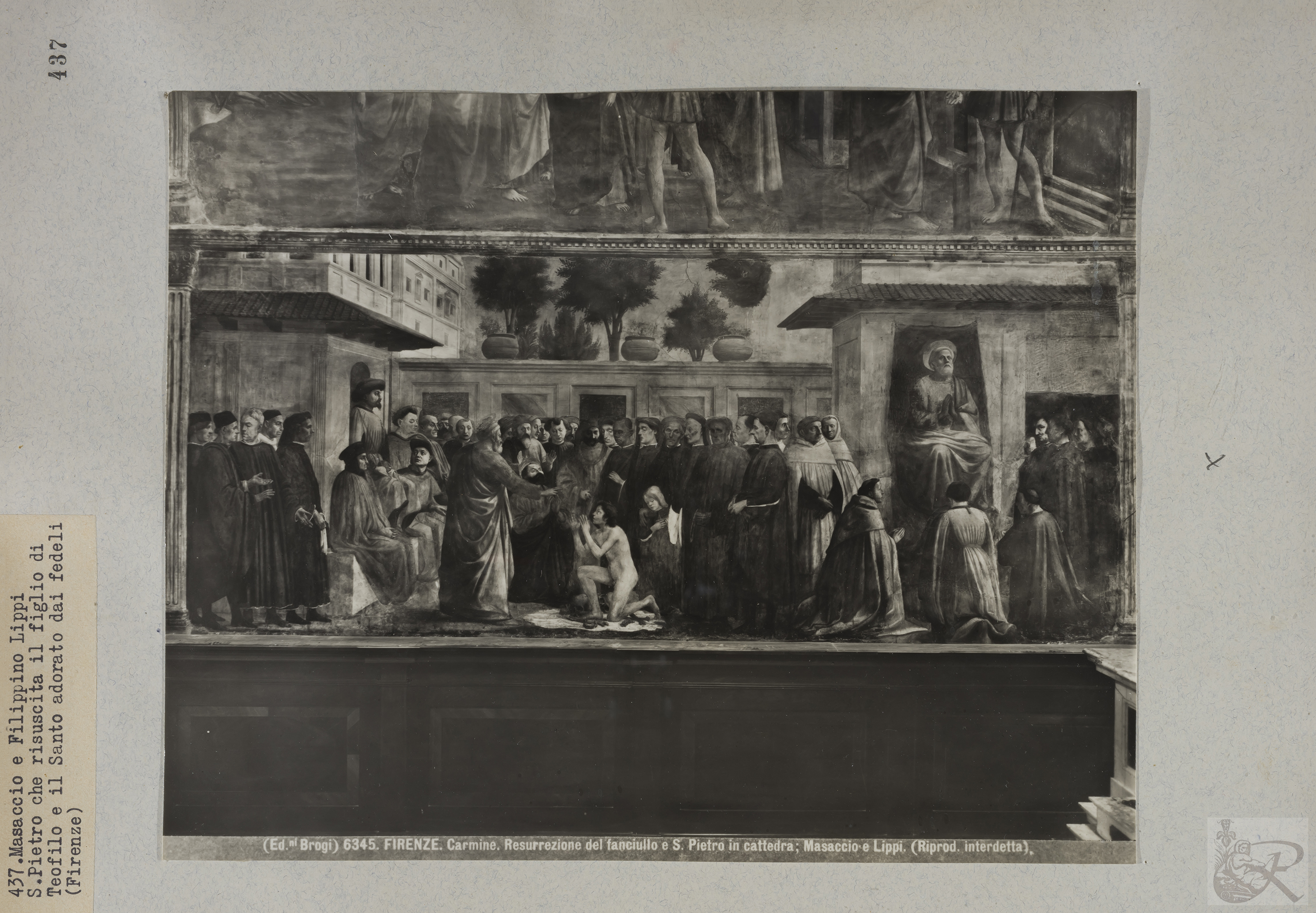 Immagine di anteprima