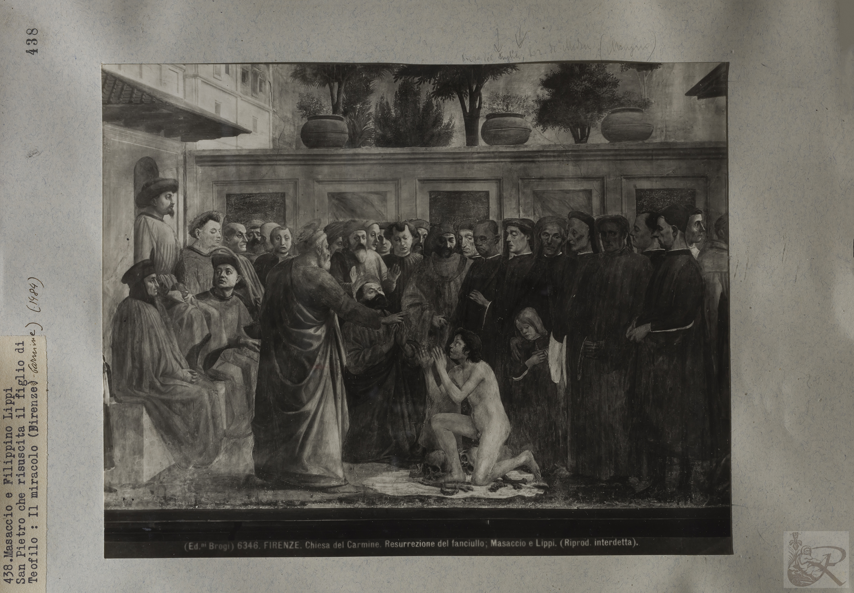 Immagine di anteprima