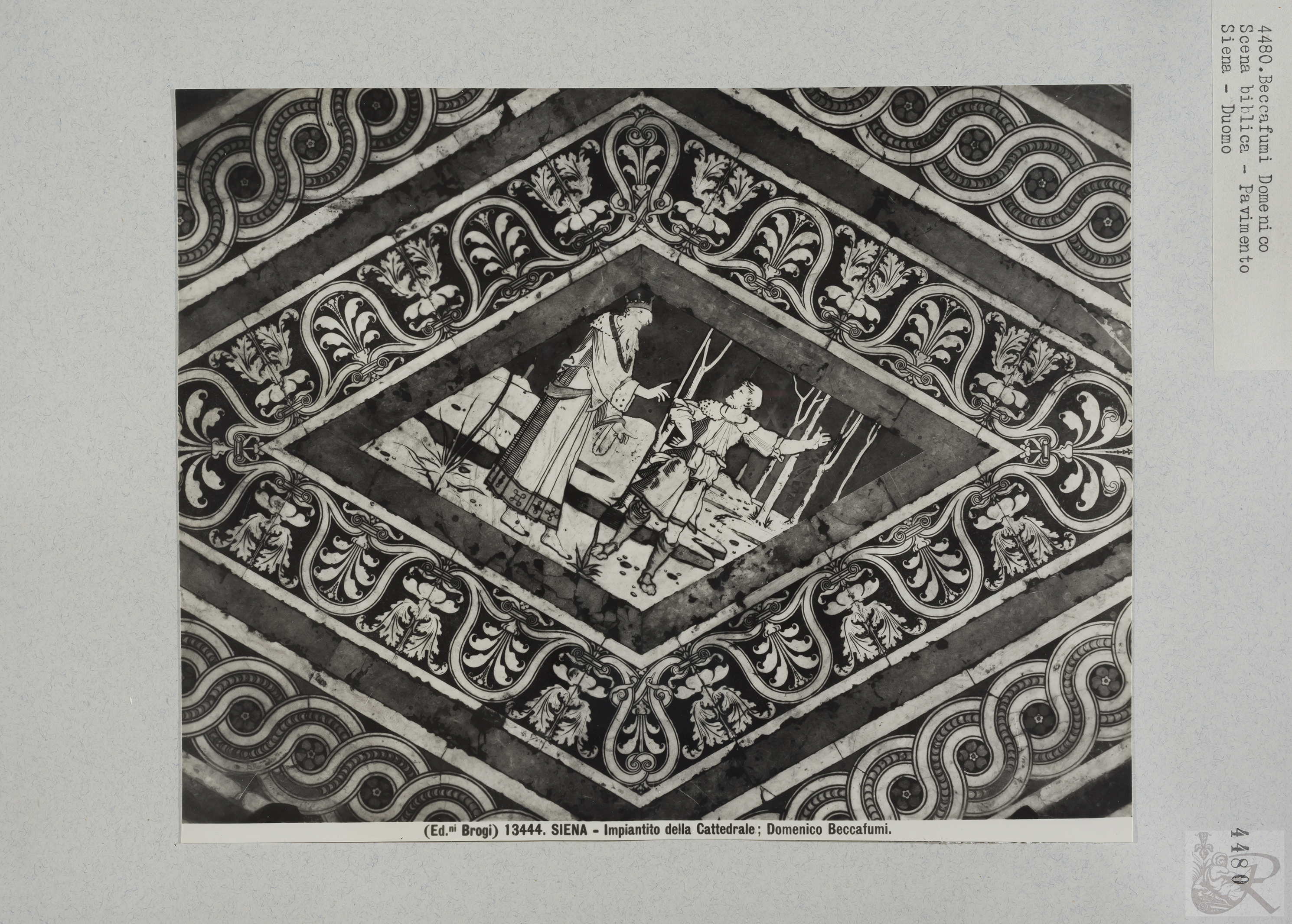 Immagine di anteprima