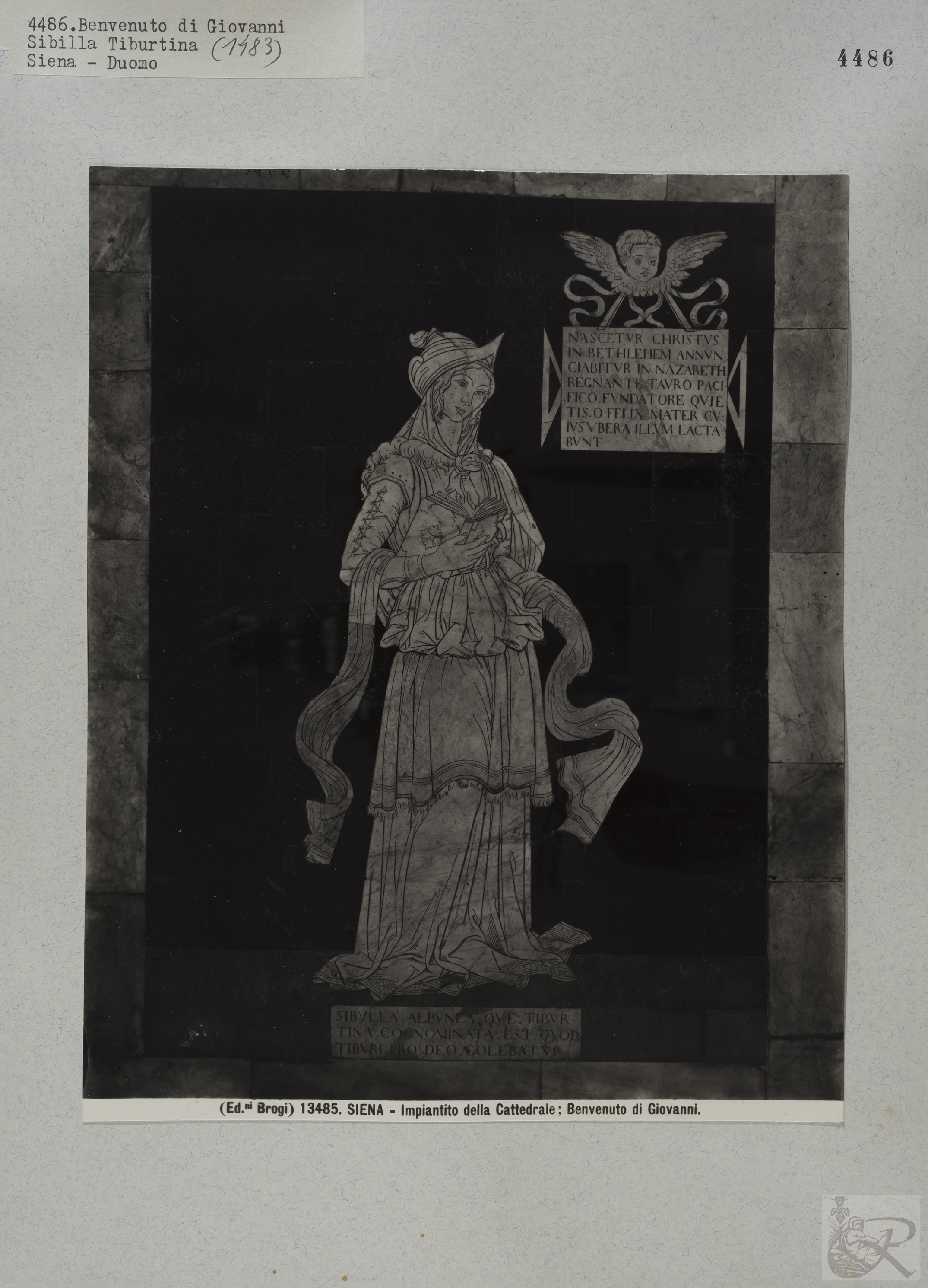 Immagine di anteprima