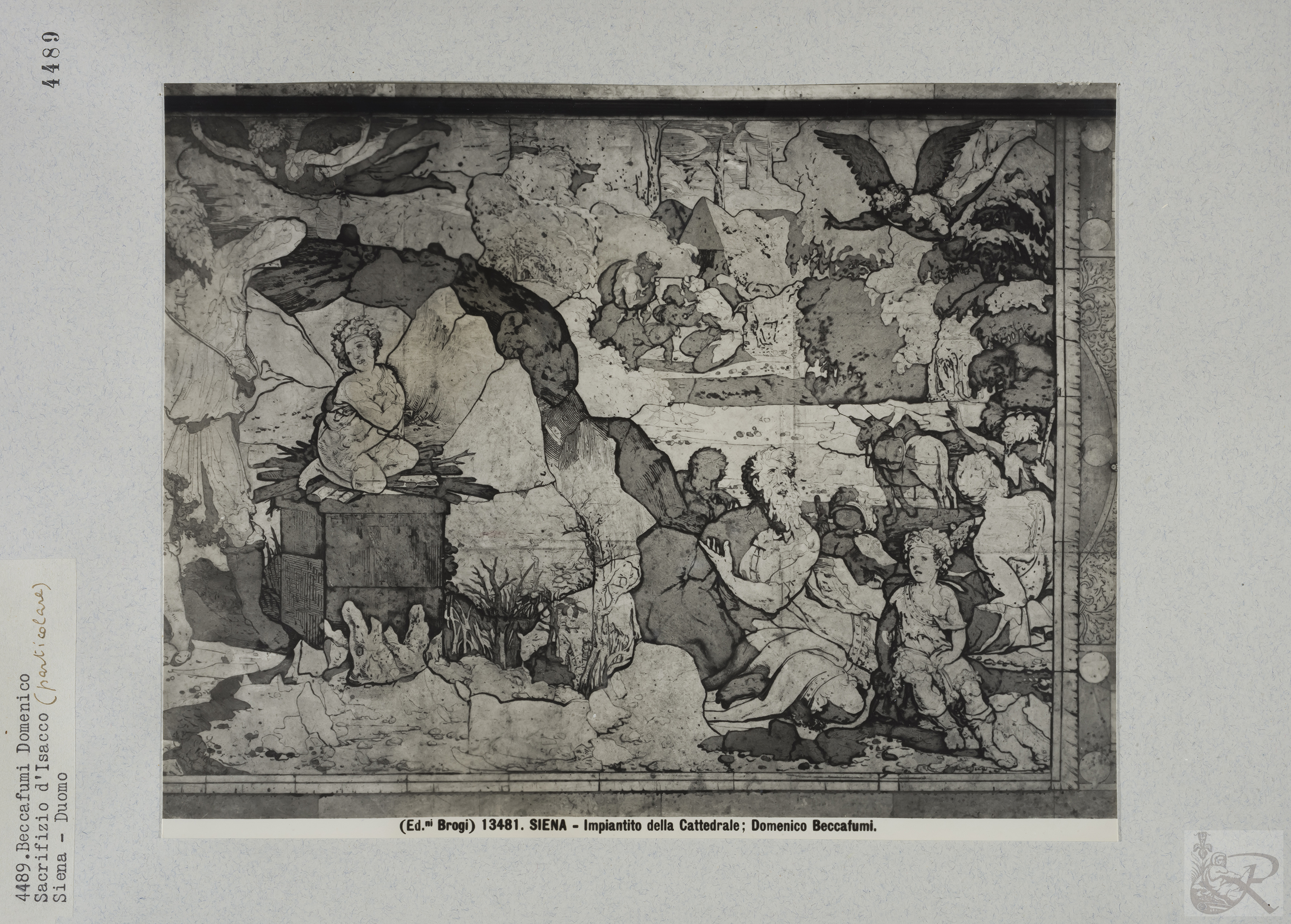 Immagine di anteprima