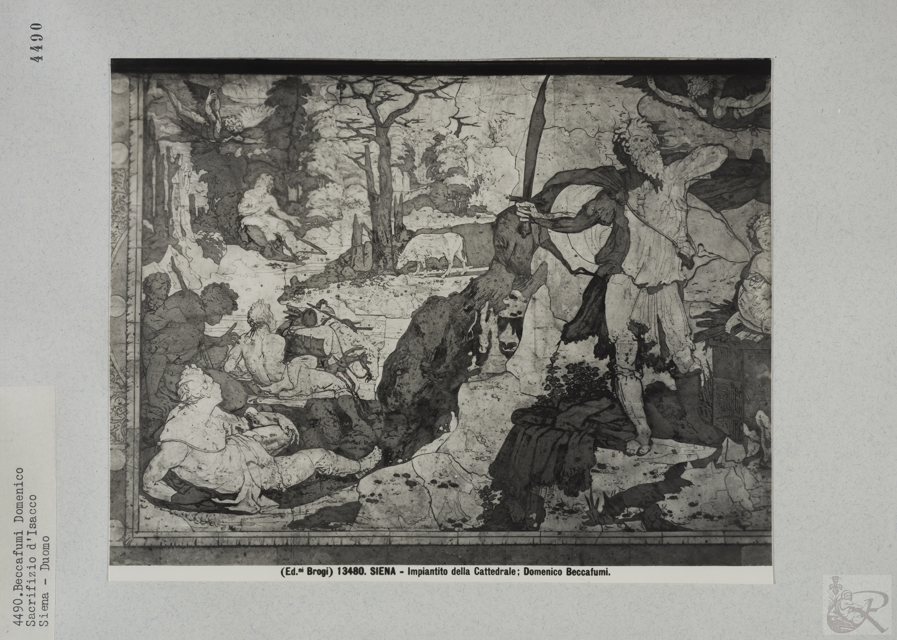 Immagine di anteprima