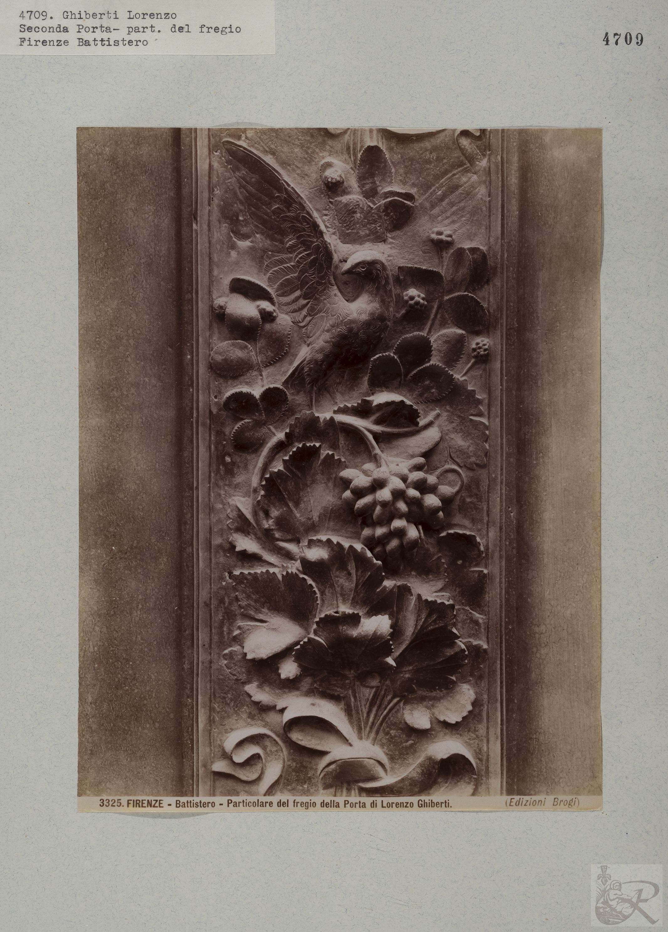 Immagine di anteprima