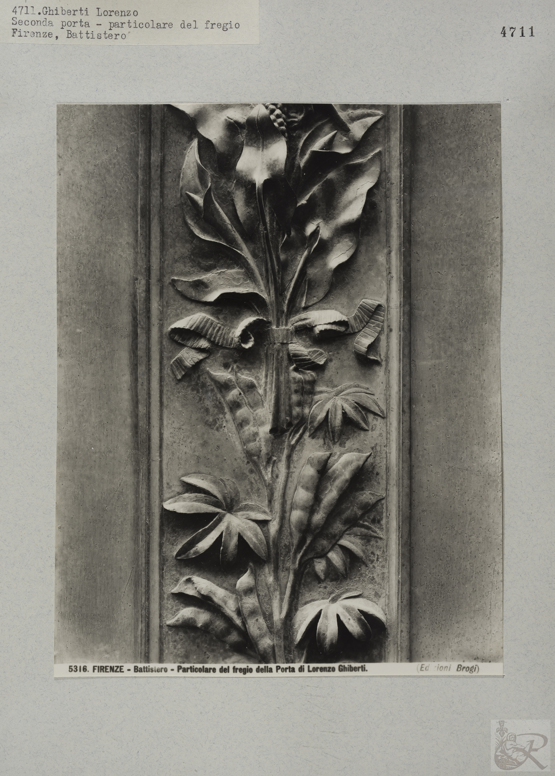 Immagine di anteprima