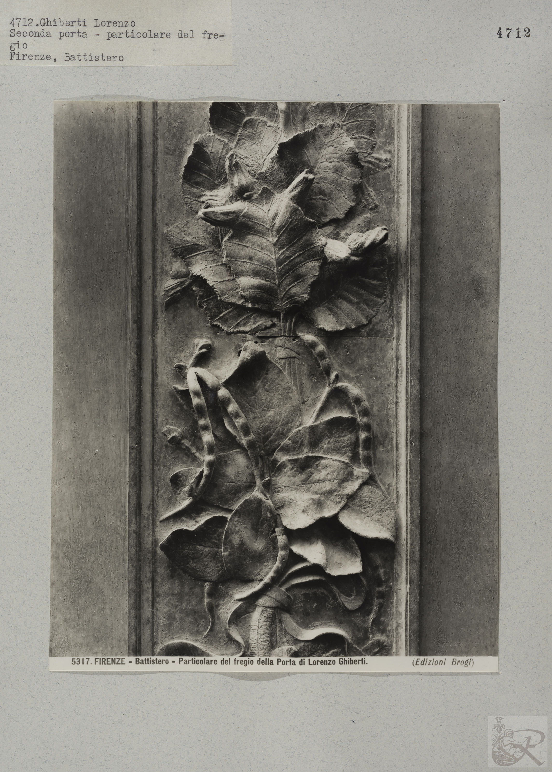 Immagine di anteprima