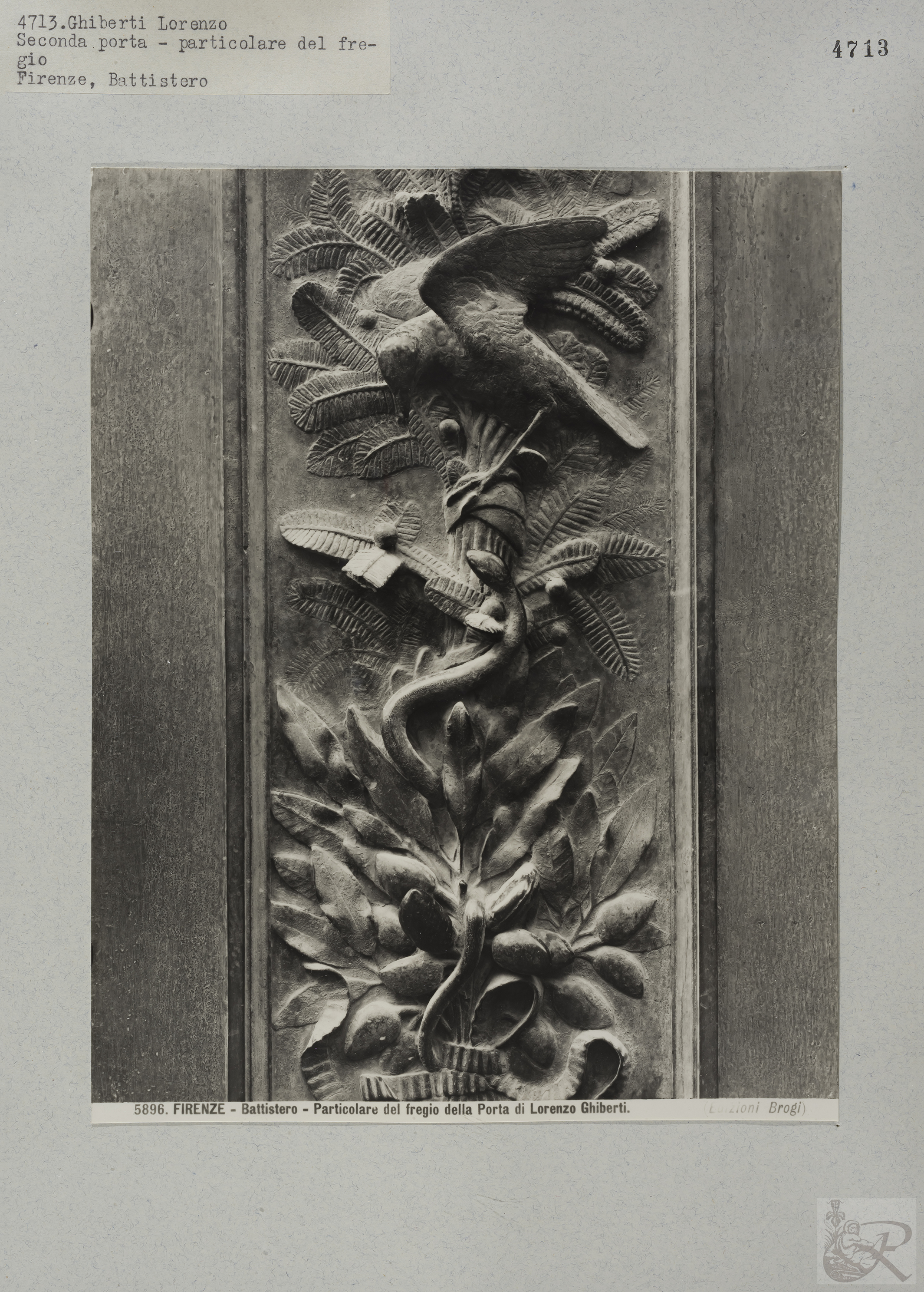 Immagine di anteprima