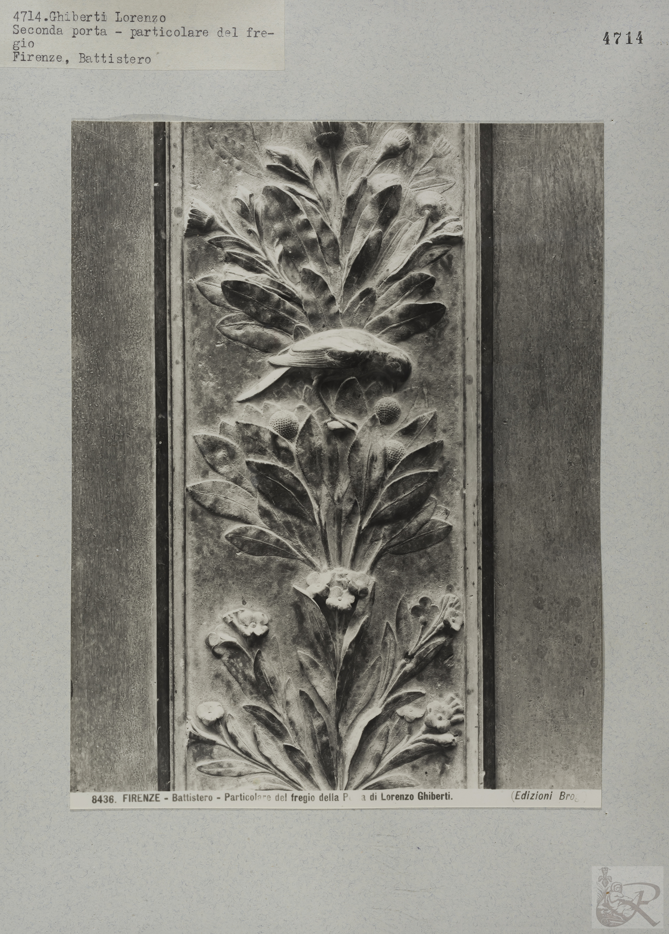 Immagine di anteprima