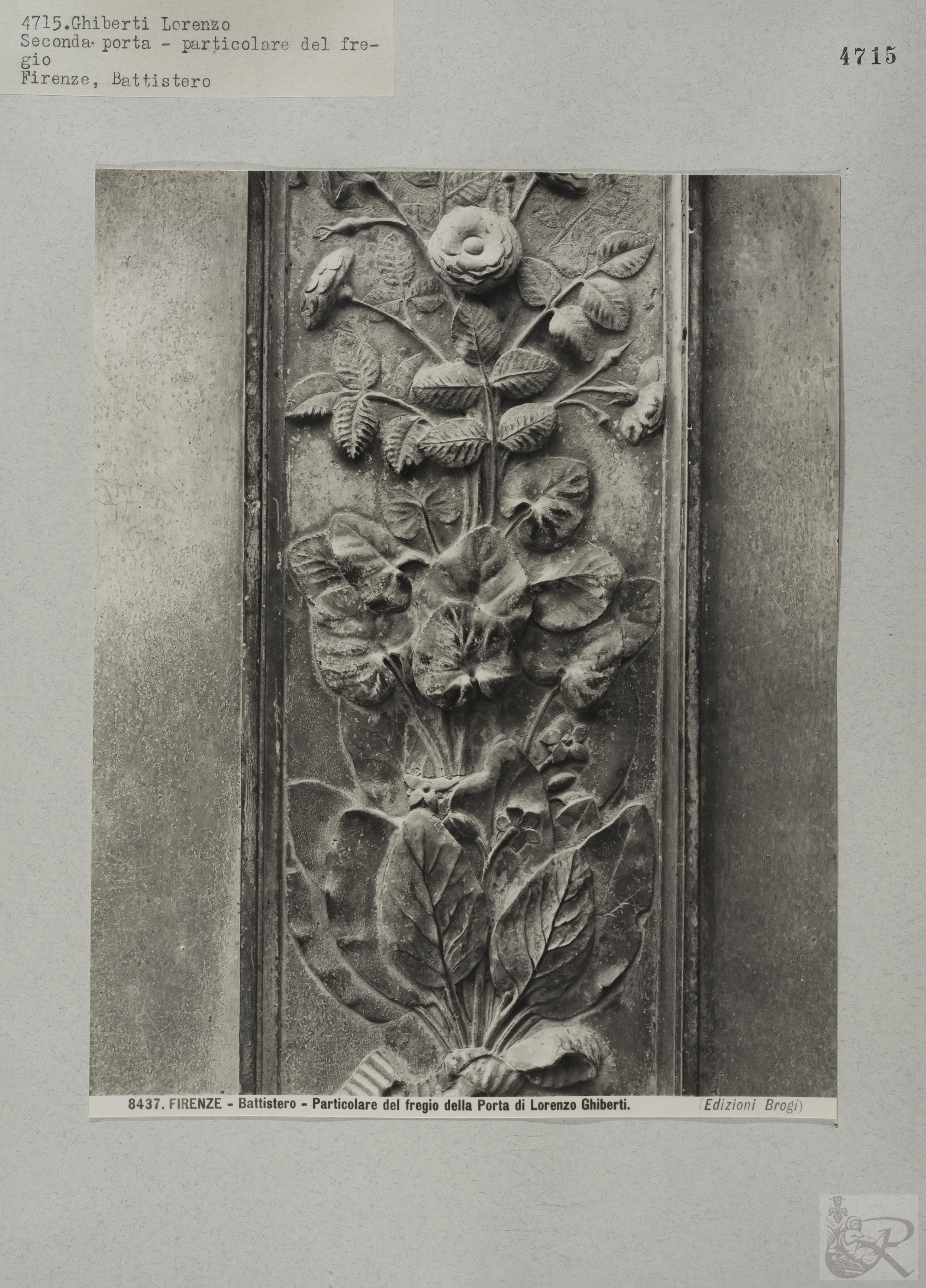 Immagine di anteprima