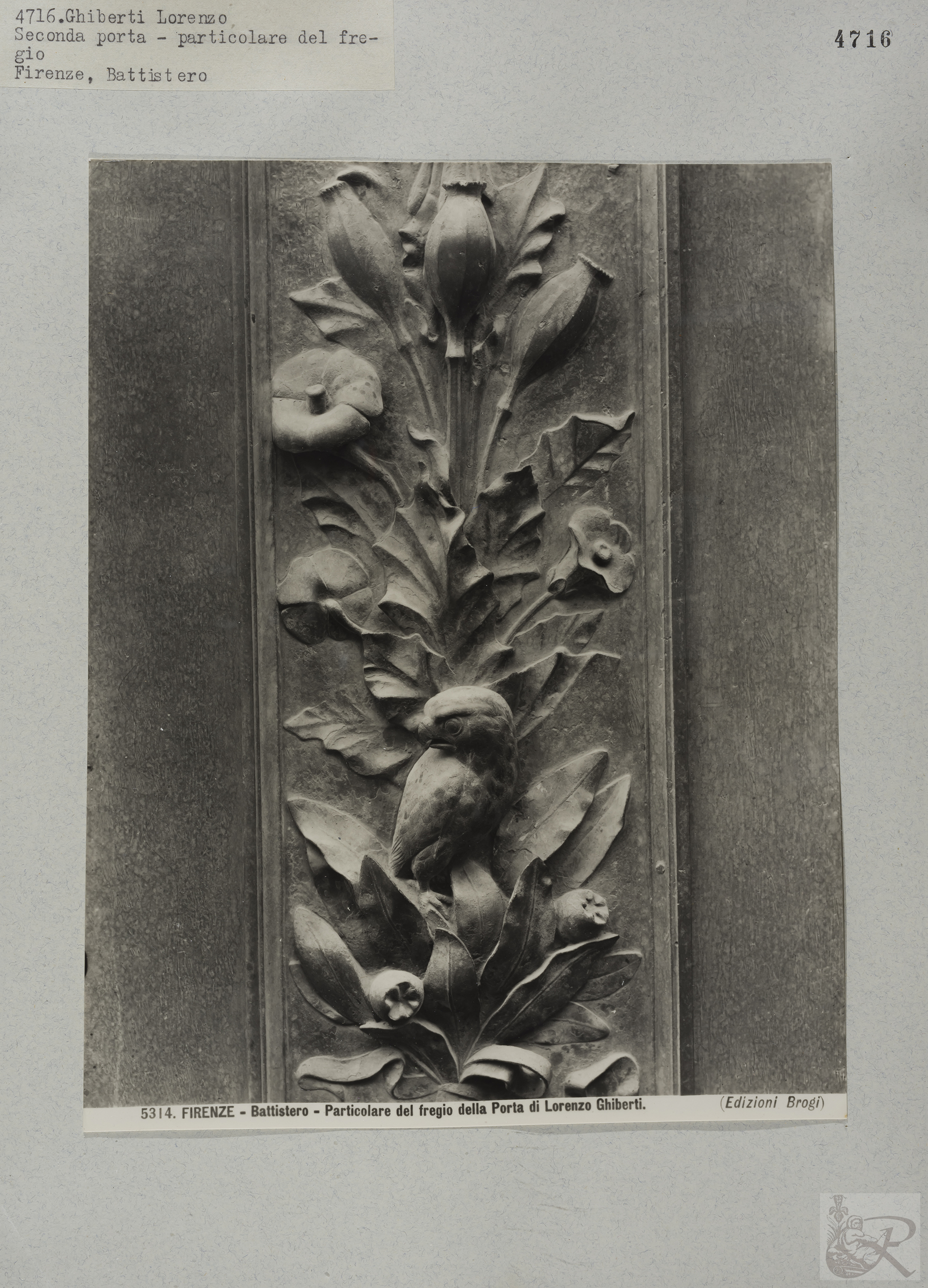 Immagine di anteprima