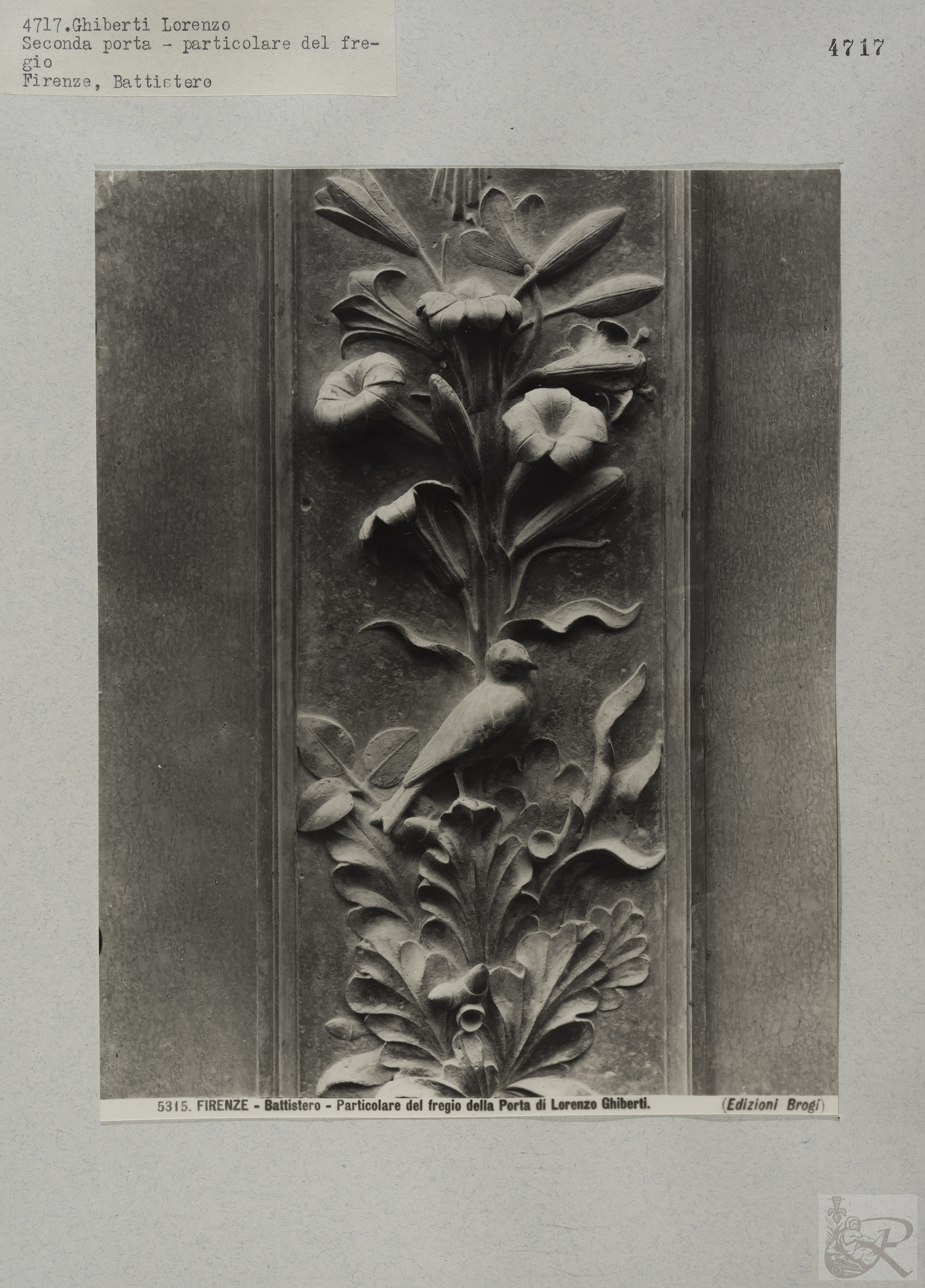 Immagine di anteprima