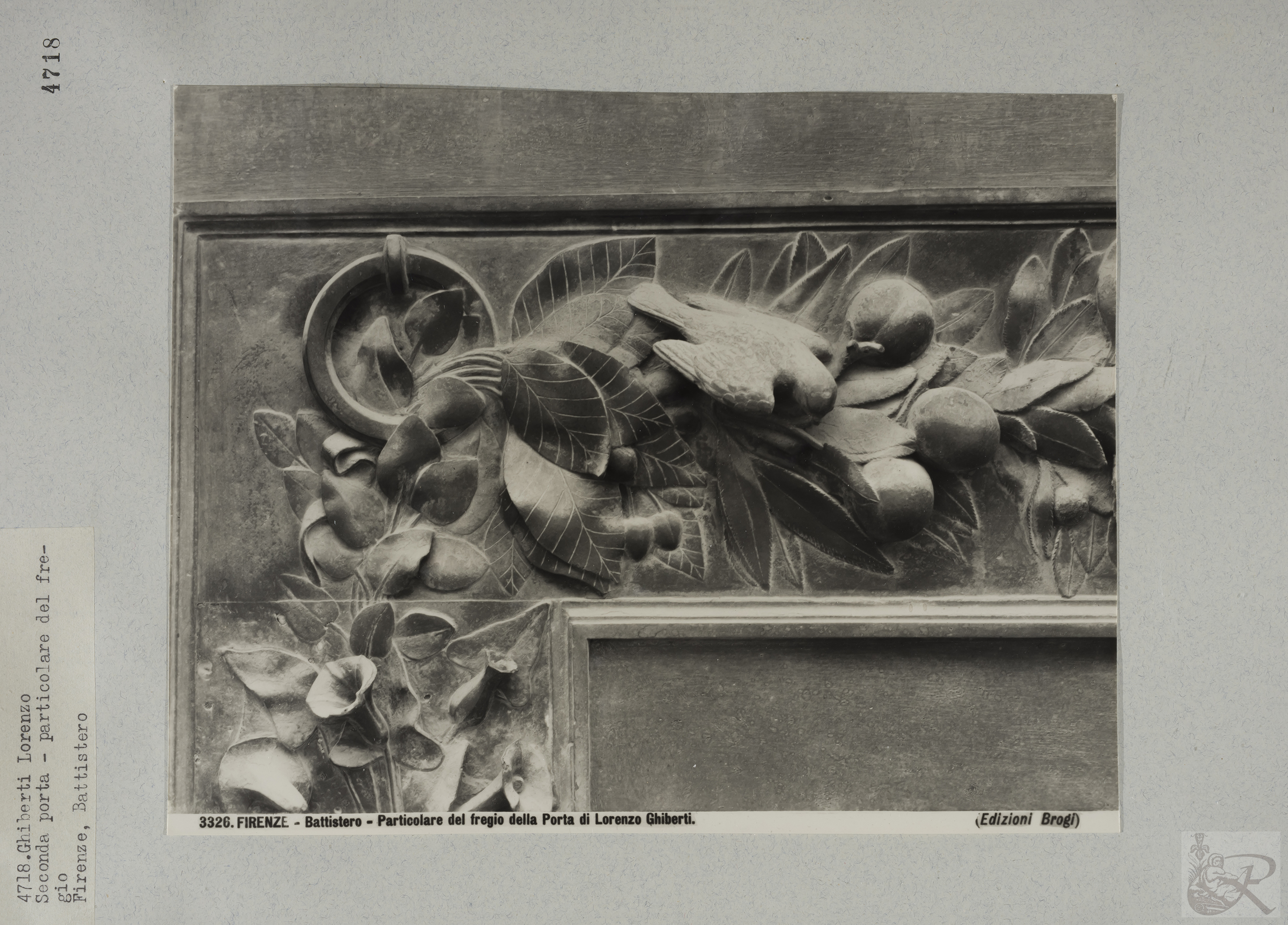 Immagine di anteprima