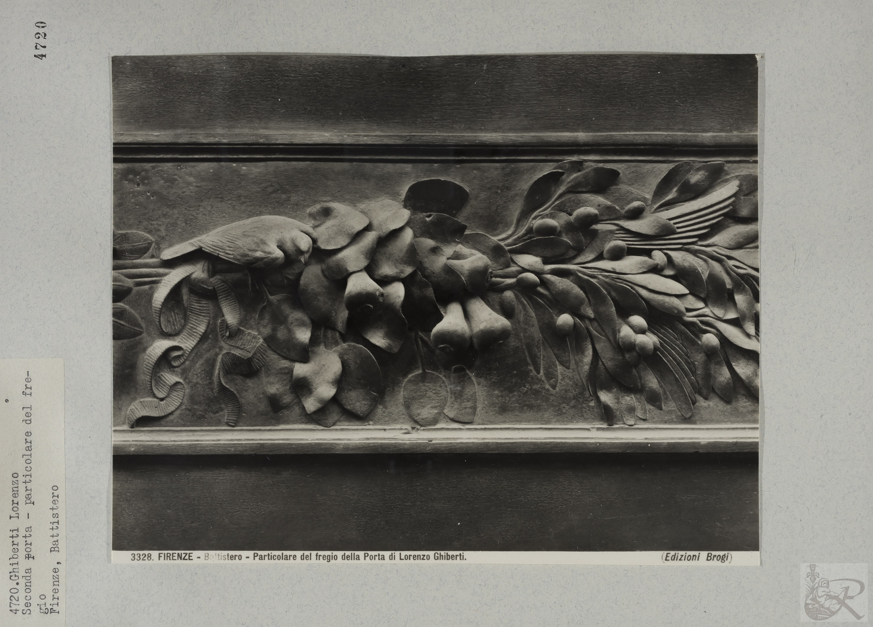 Immagine di anteprima