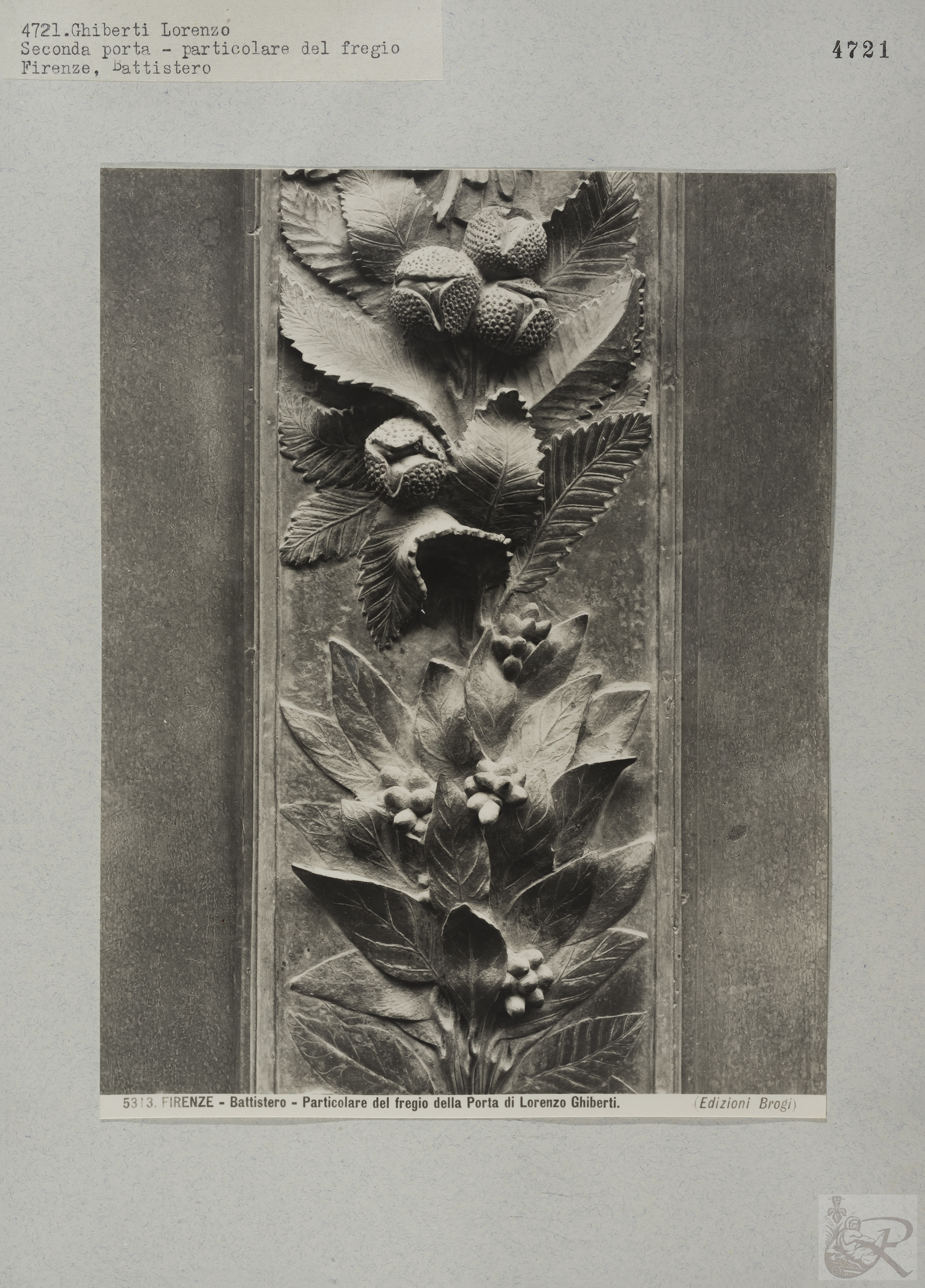 Immagine di anteprima