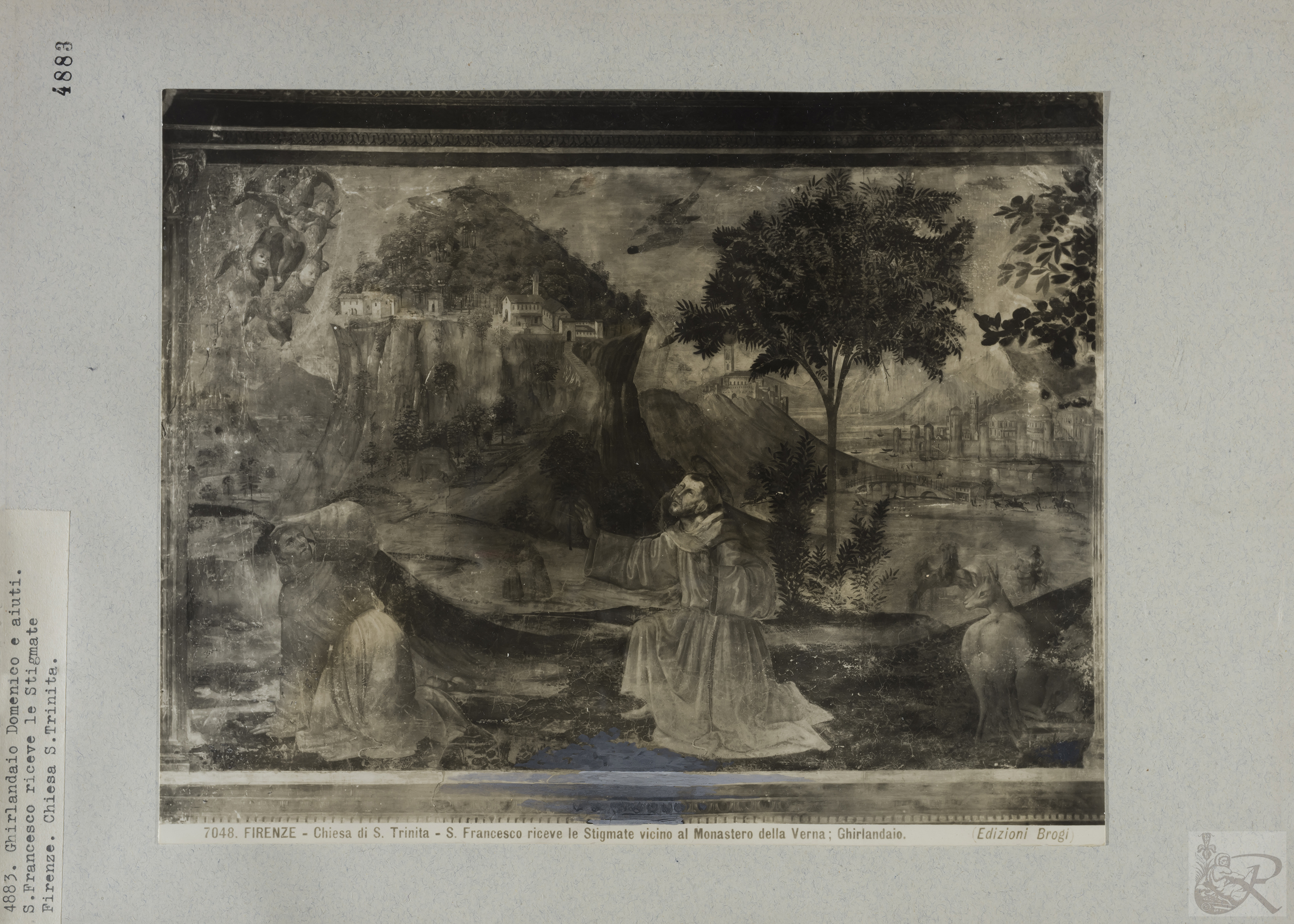 Immagine di anteprima