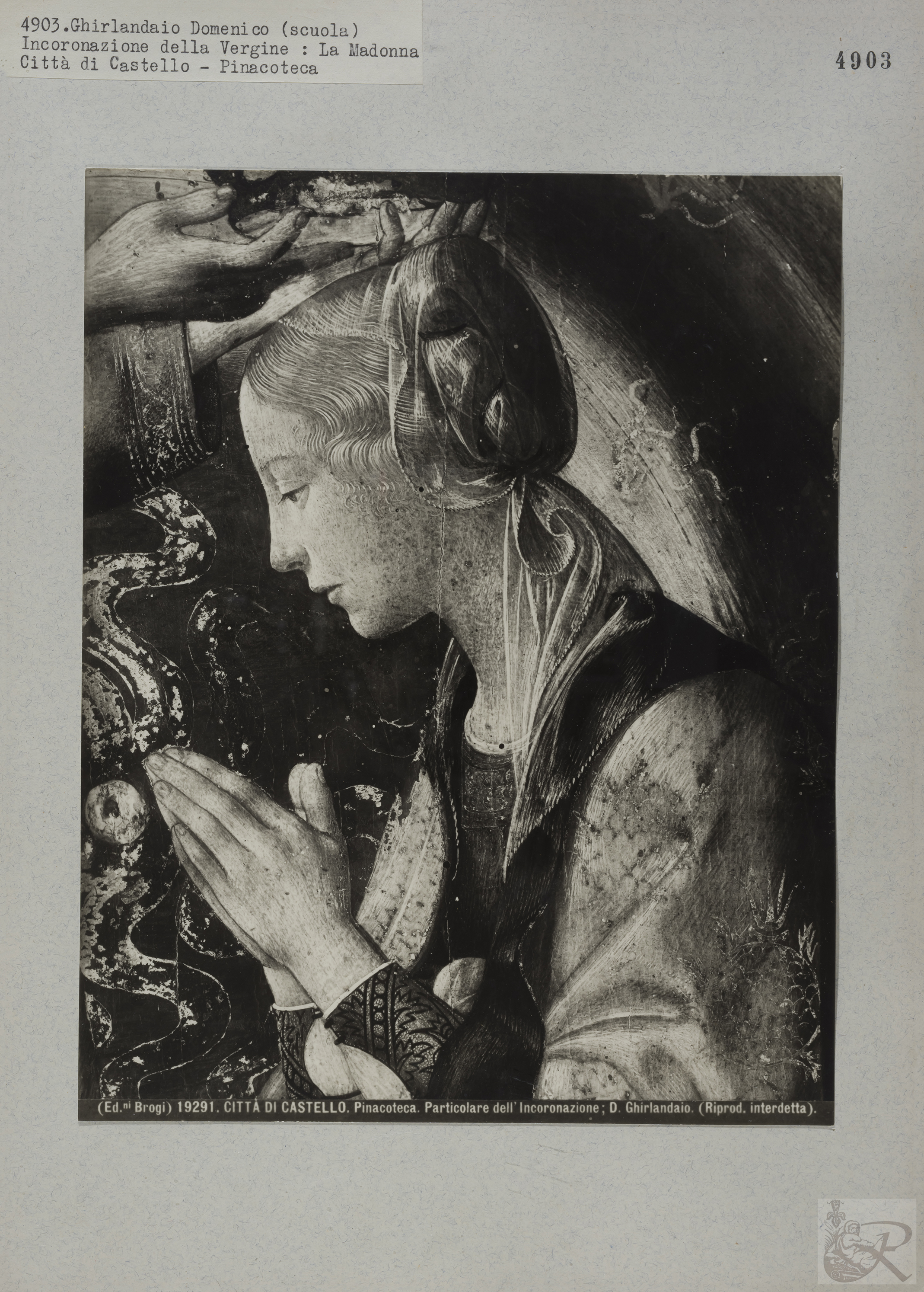 Immagine di anteprima