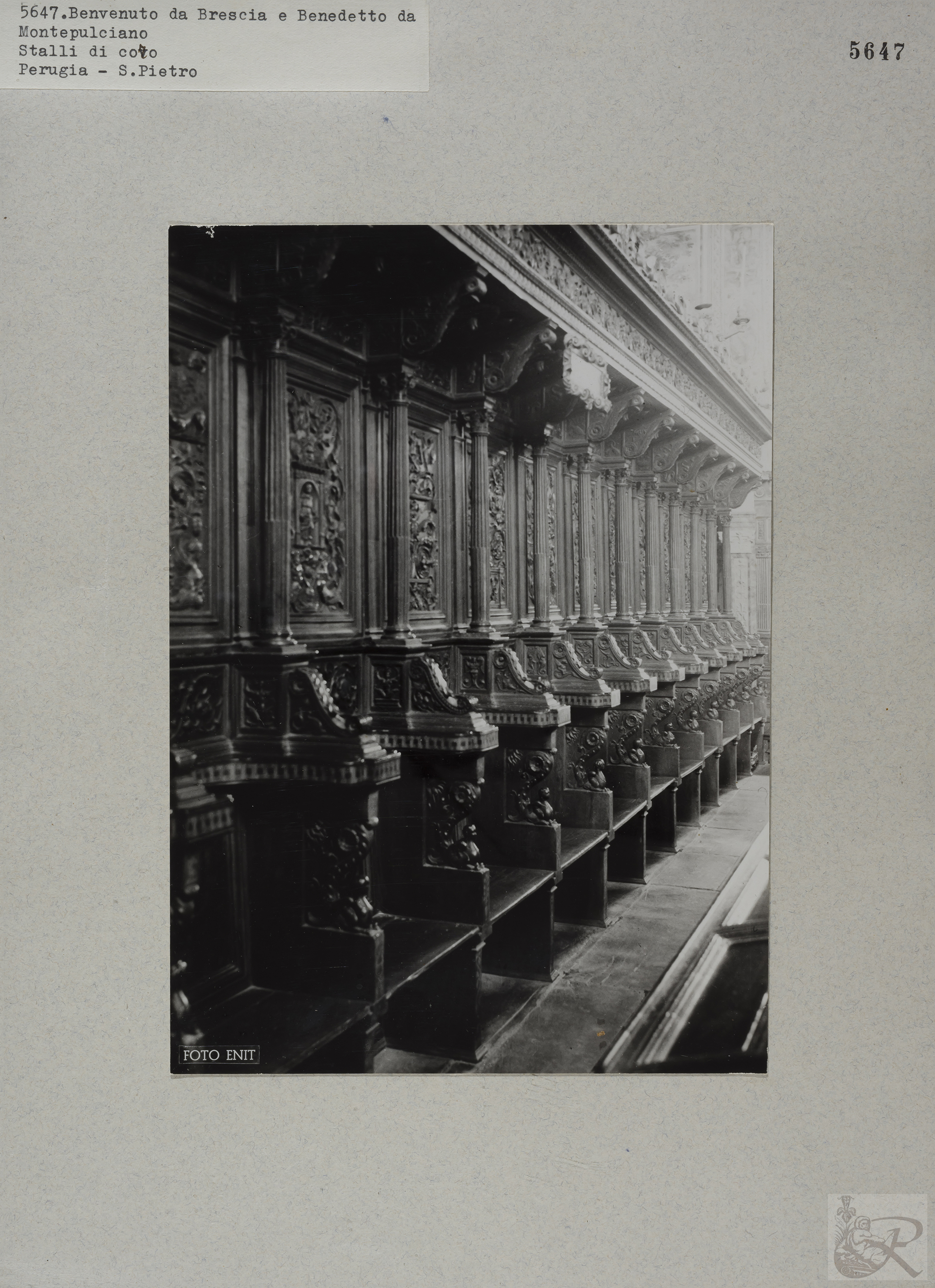 Immagine di anteprima