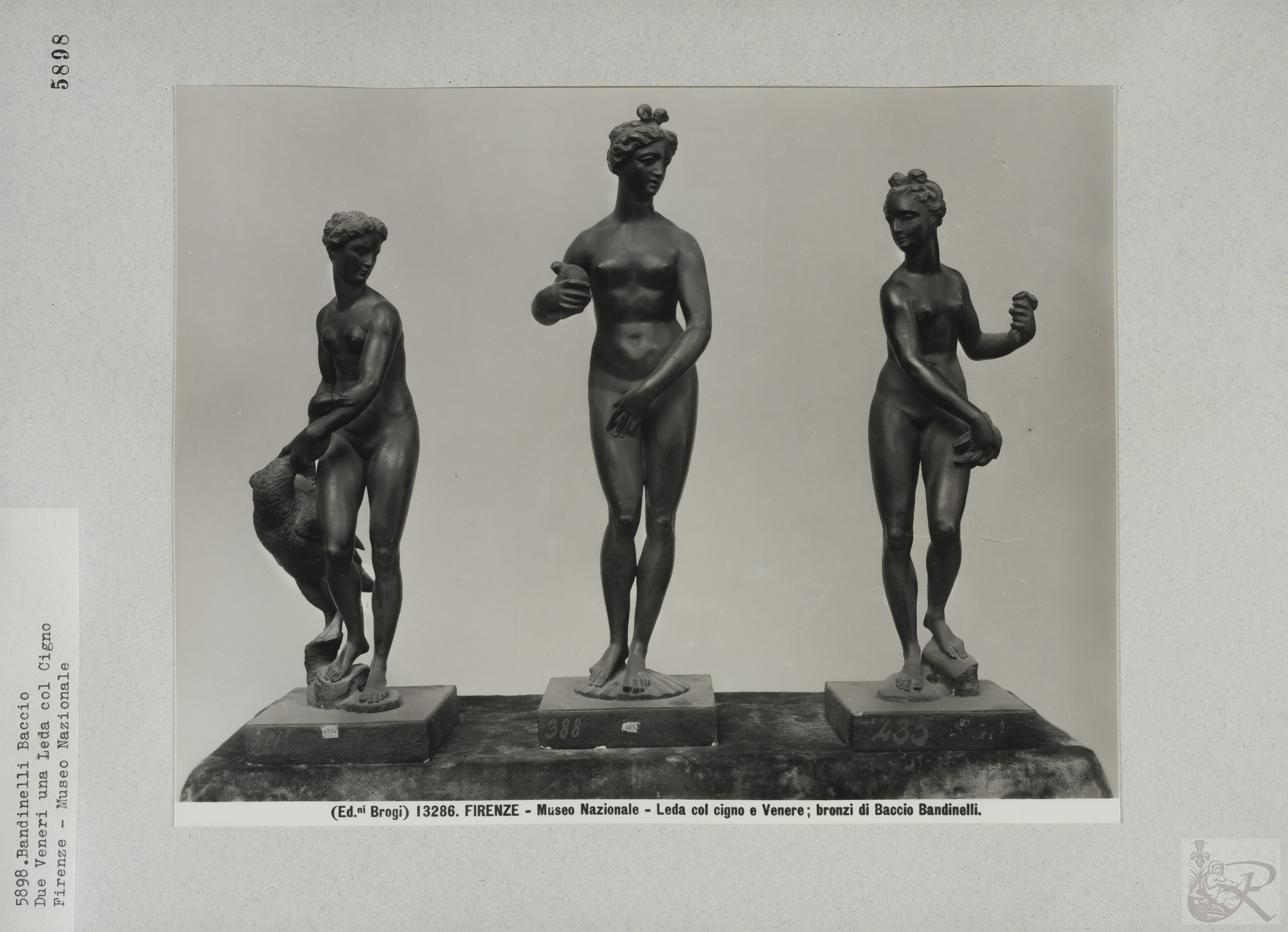 Immagine di anteprima